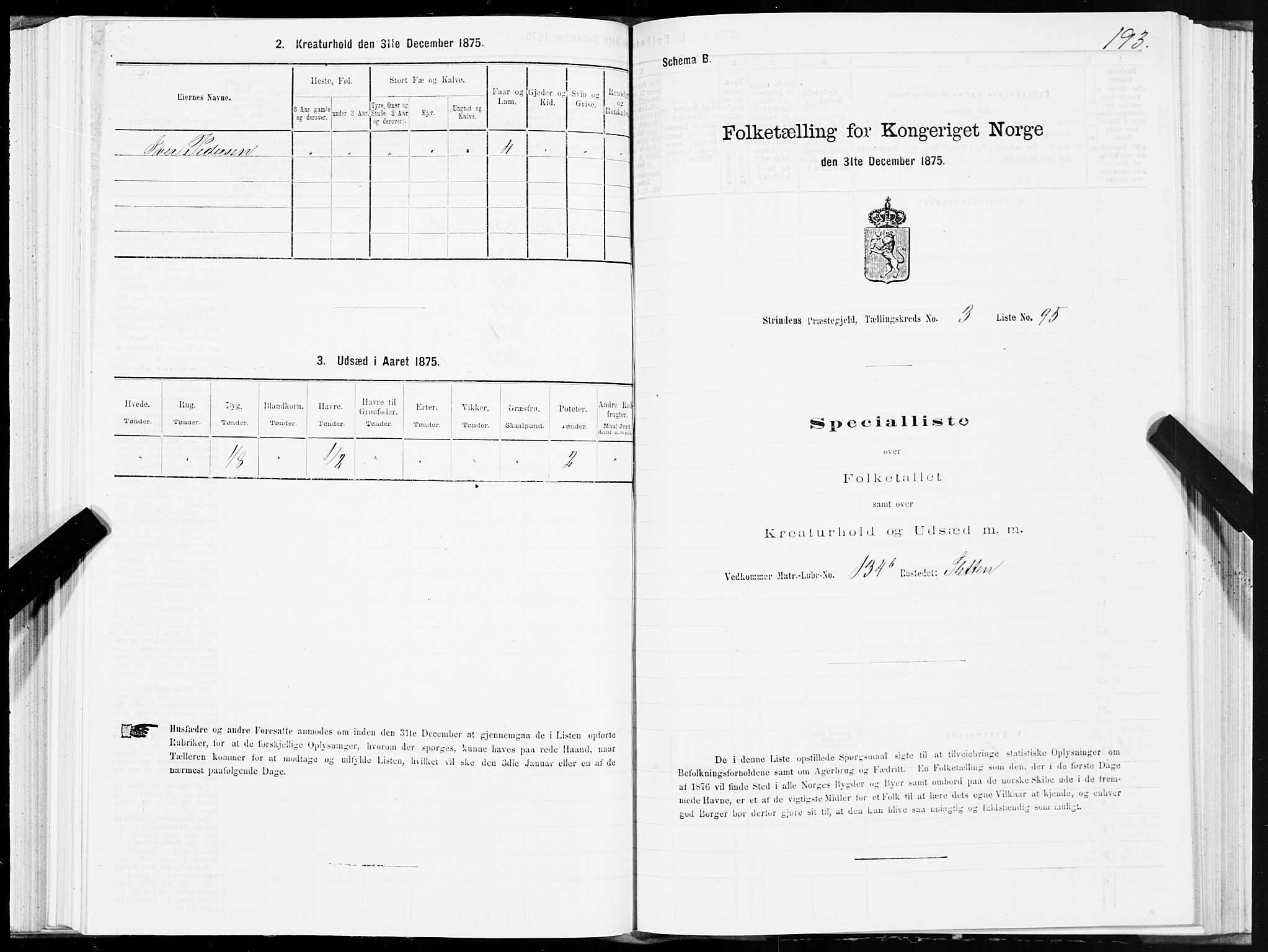 SAT, Folketelling 1875 for 1660P Strinda prestegjeld, 1875, s. 2193