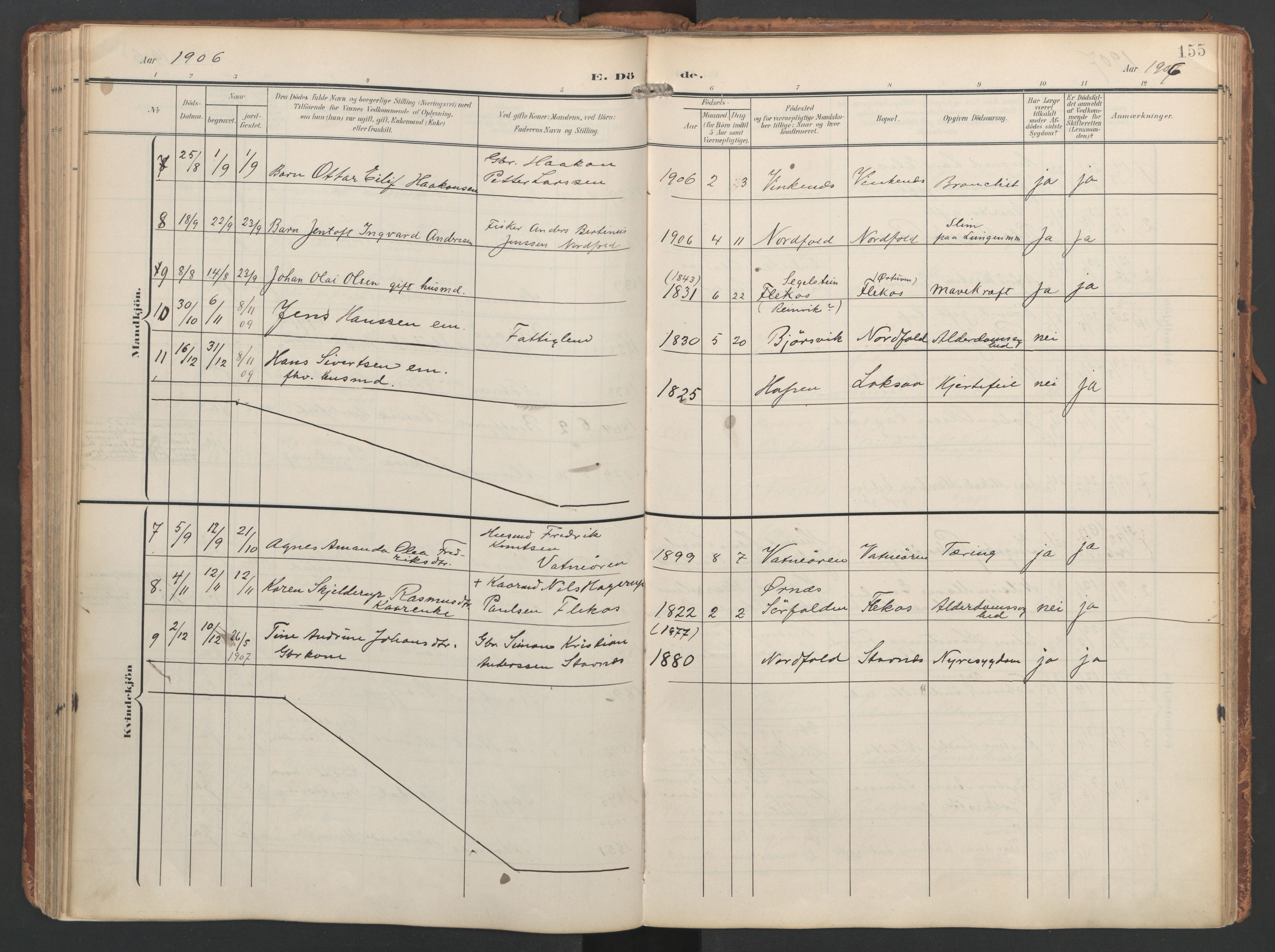 Ministerialprotokoller, klokkerbøker og fødselsregistre - Nordland, AV/SAT-A-1459/858/L0832: Ministerialbok nr. 858A02, 1902-1915, s. 155