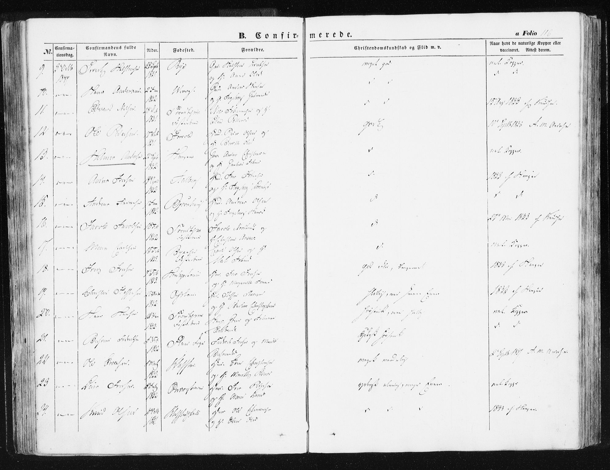Ministerialprotokoller, klokkerbøker og fødselsregistre - Sør-Trøndelag, AV/SAT-A-1456/612/L0376: Ministerialbok nr. 612A08, 1846-1859, s. 116