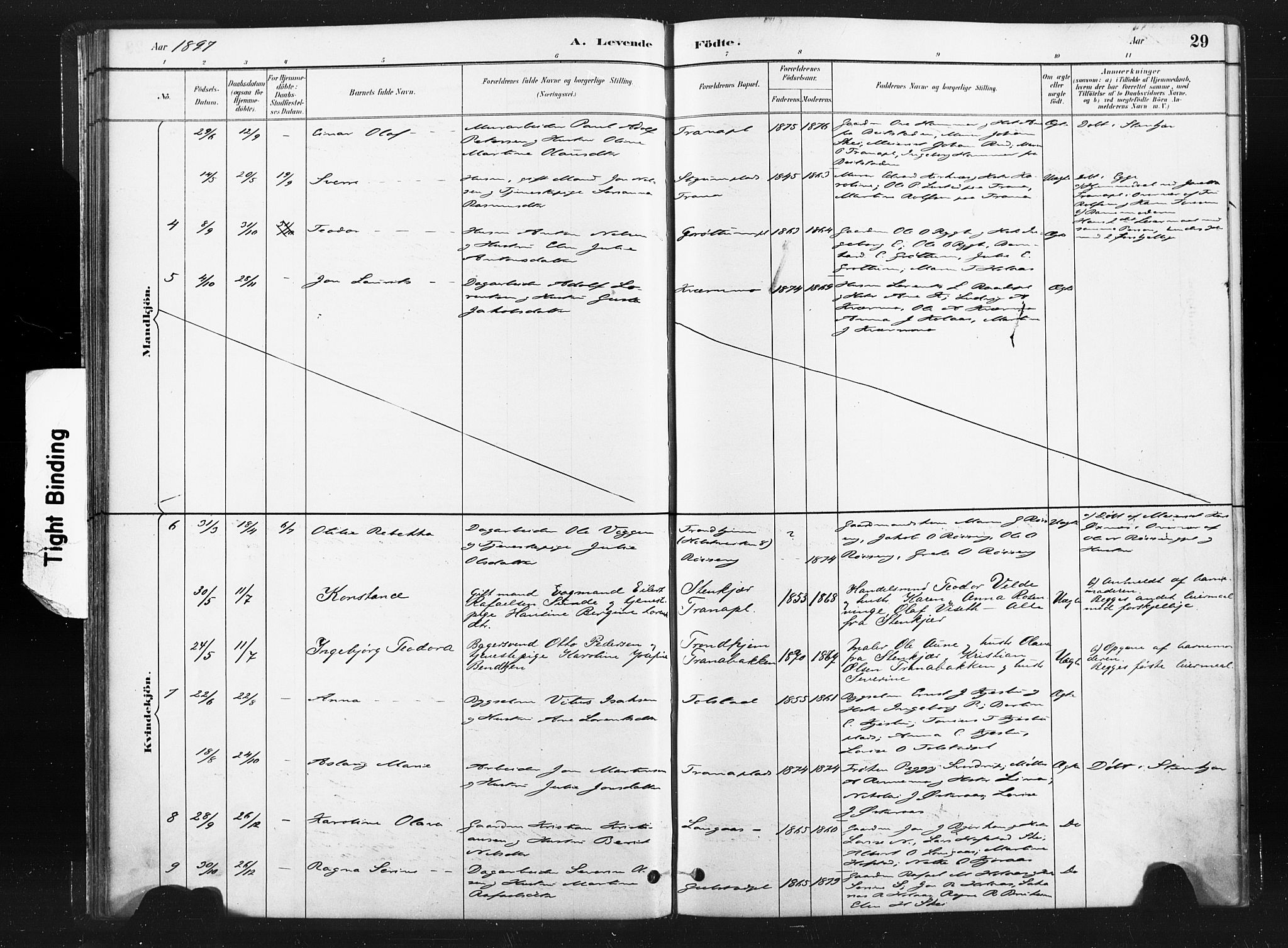 Ministerialprotokoller, klokkerbøker og fødselsregistre - Nord-Trøndelag, SAT/A-1458/736/L0361: Ministerialbok nr. 736A01, 1884-1906, s. 29