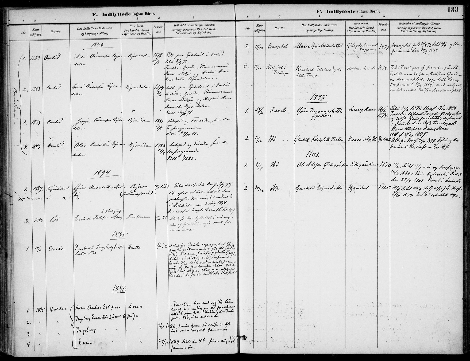 Lunde kirkebøker, AV/SAKO-A-282/F/Fa/L0003: Ministerialbok nr. I 3, 1893-1902, s. 133