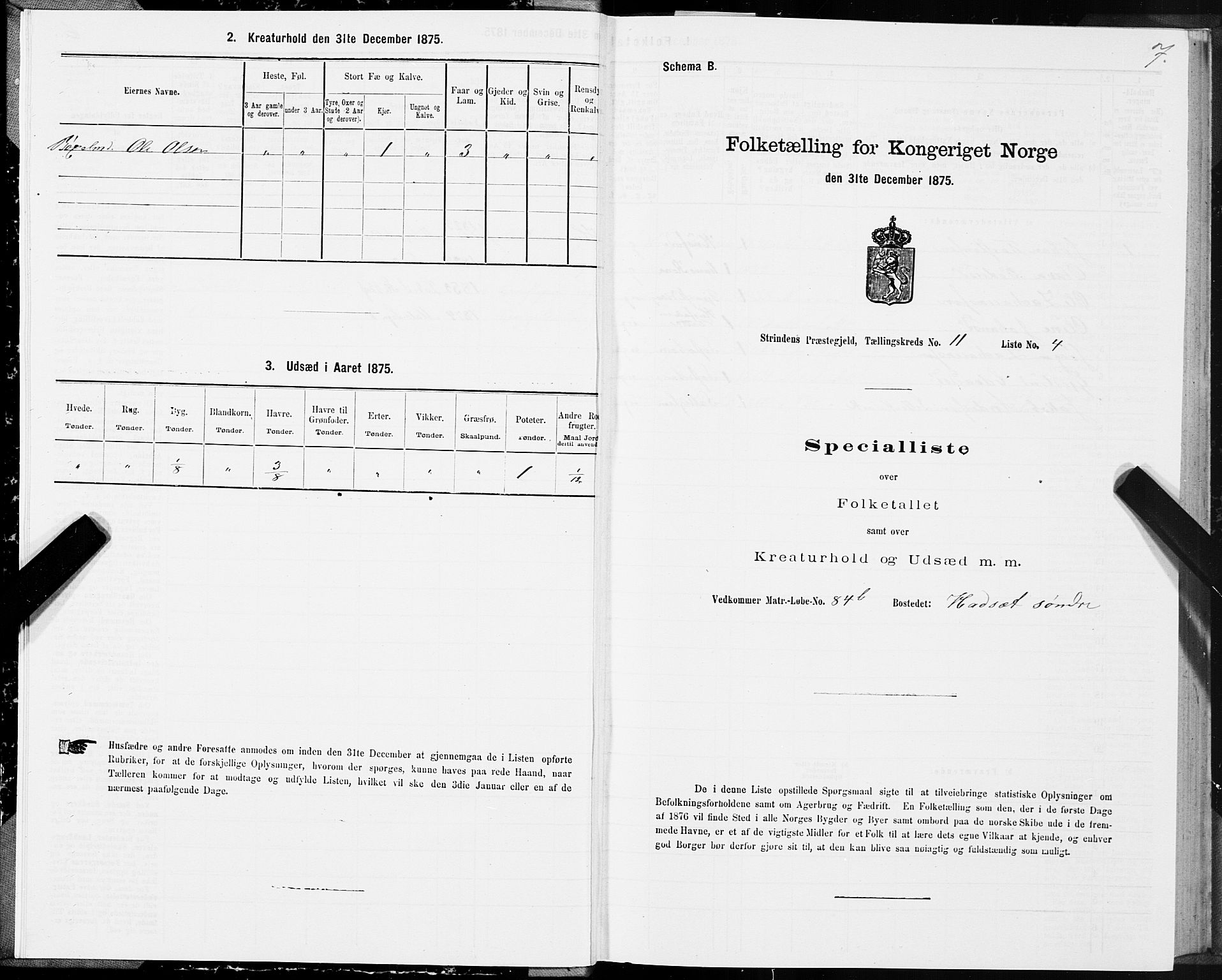 SAT, Folketelling 1875 for 1660P Strinda prestegjeld, 1875, s. 7007