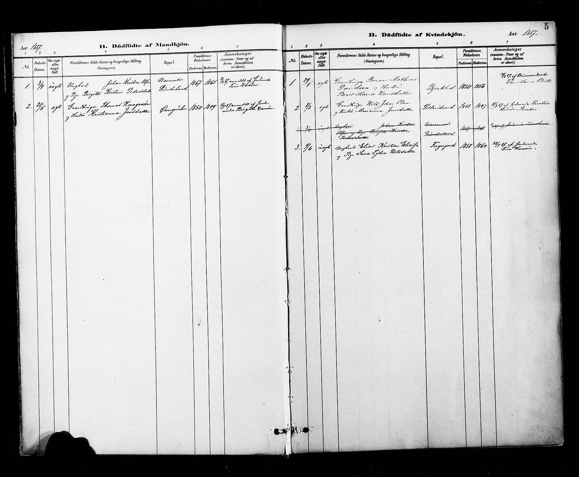 Ministerialprotokoller, klokkerbøker og fødselsregistre - Nordland, SAT/A-1459/827/L0401: Ministerialbok nr. 827A13, 1887-1905, s. 5
