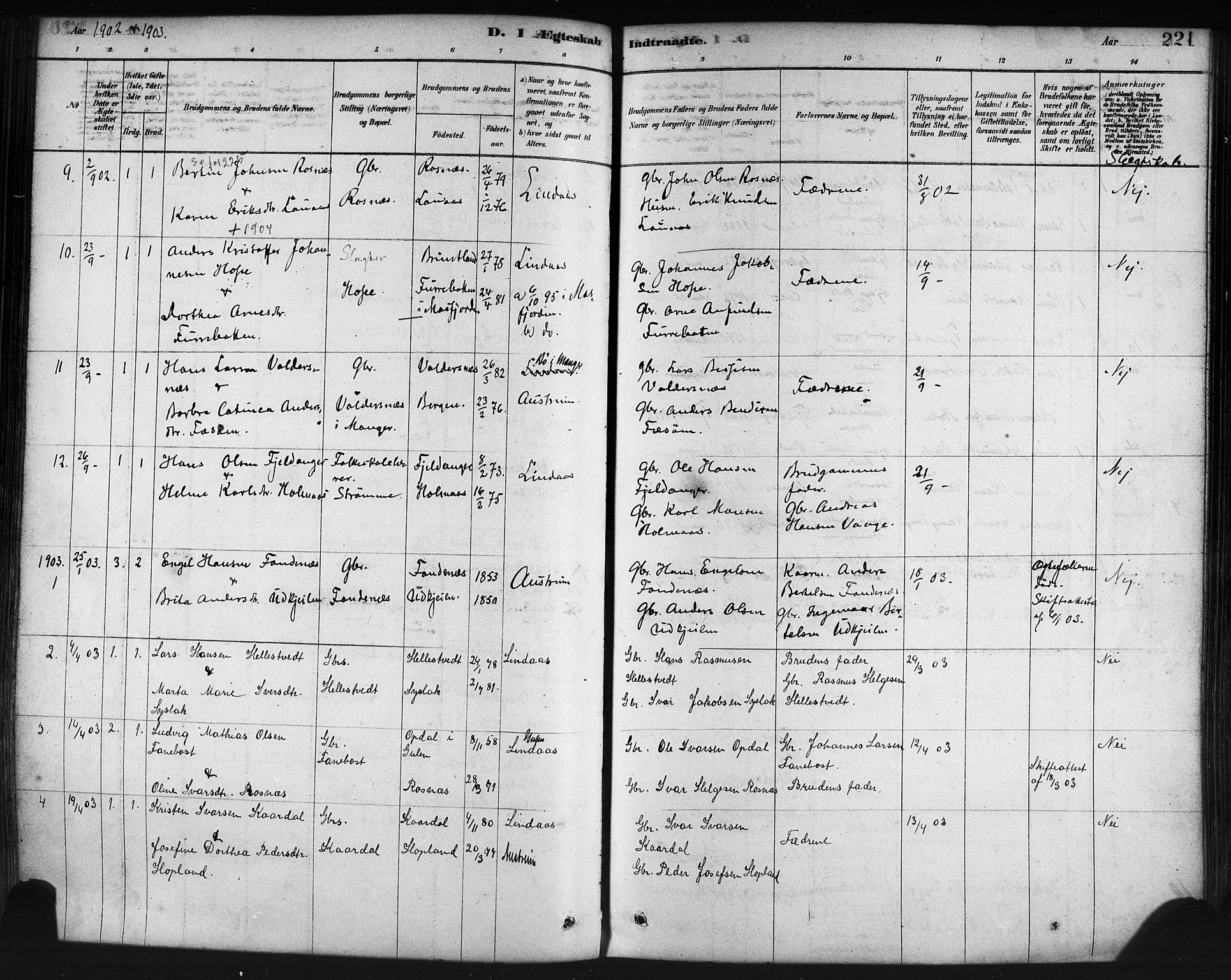 Lindås Sokneprestembete, AV/SAB-A-76701/H/Haa/Haaa/L0019: Ministerialbok nr. A 19, 1878-1912, s. 221