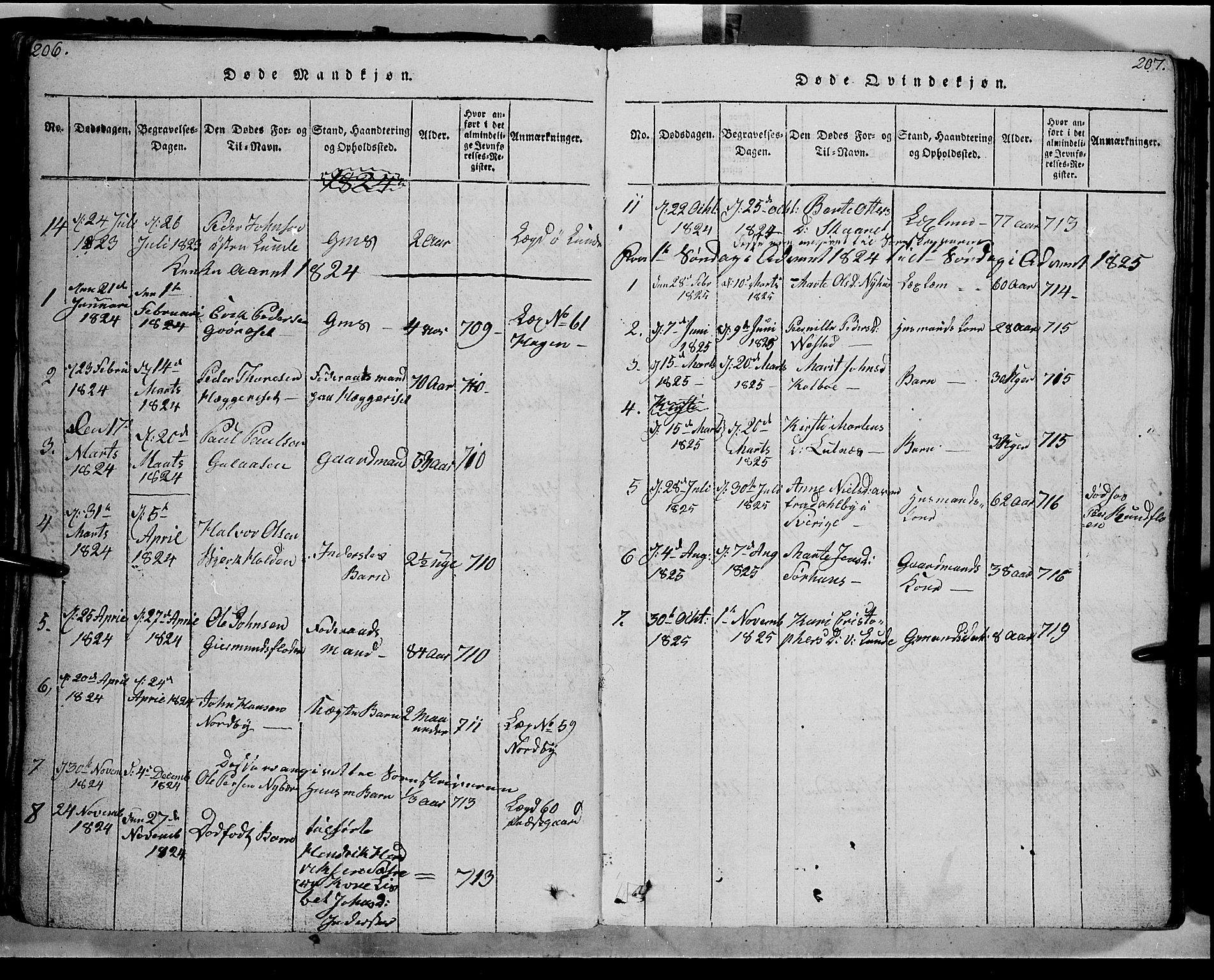 Trysil prestekontor, AV/SAH-PREST-046/H/Ha/Haa/L0003: Ministerialbok nr. 3 /1, 1814-1841, s. 206-207