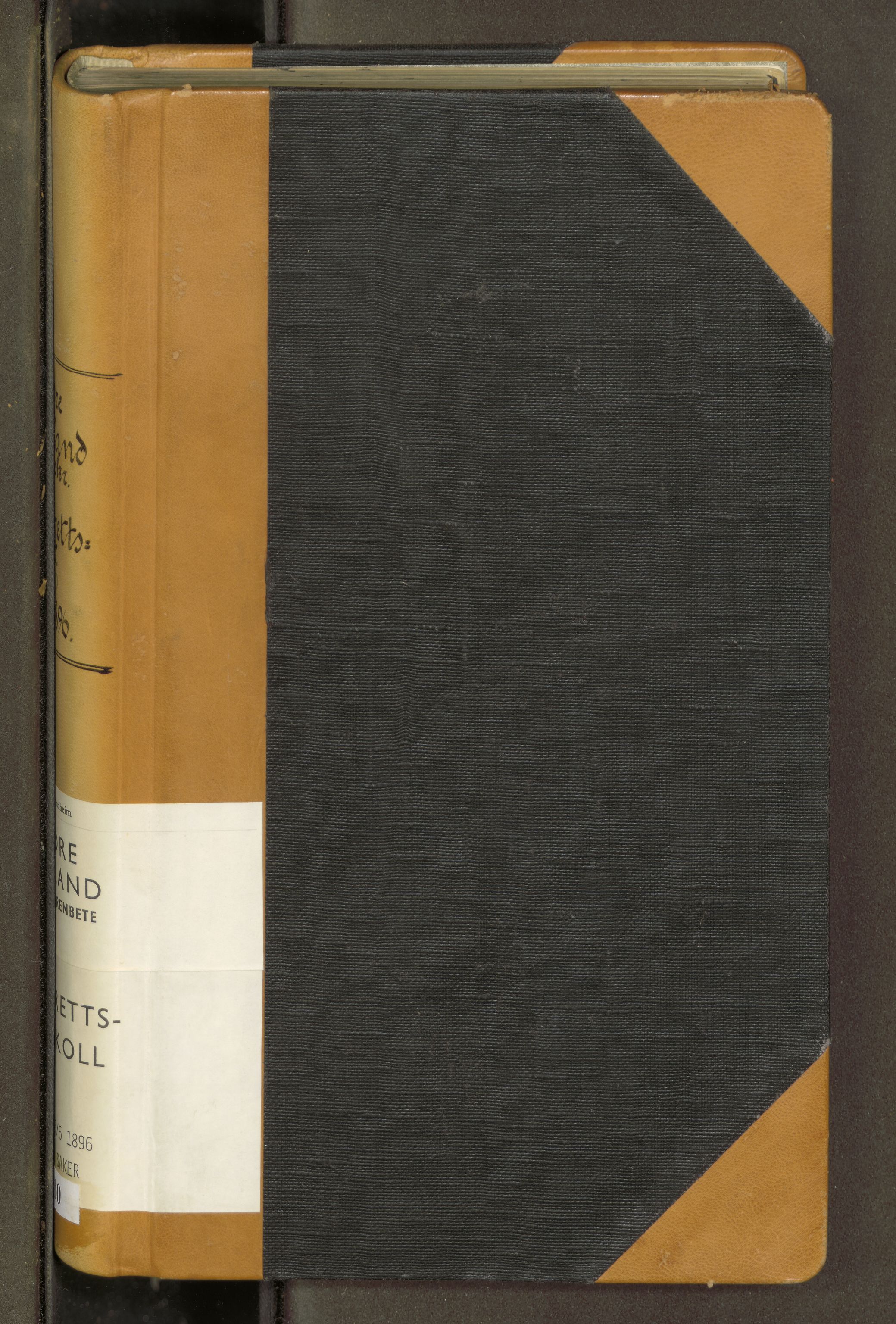 Rana sorenskriveri , SAT/A-1108/1/1/1B/L0010: Ekstrarettsprotokoll, 1877-1896