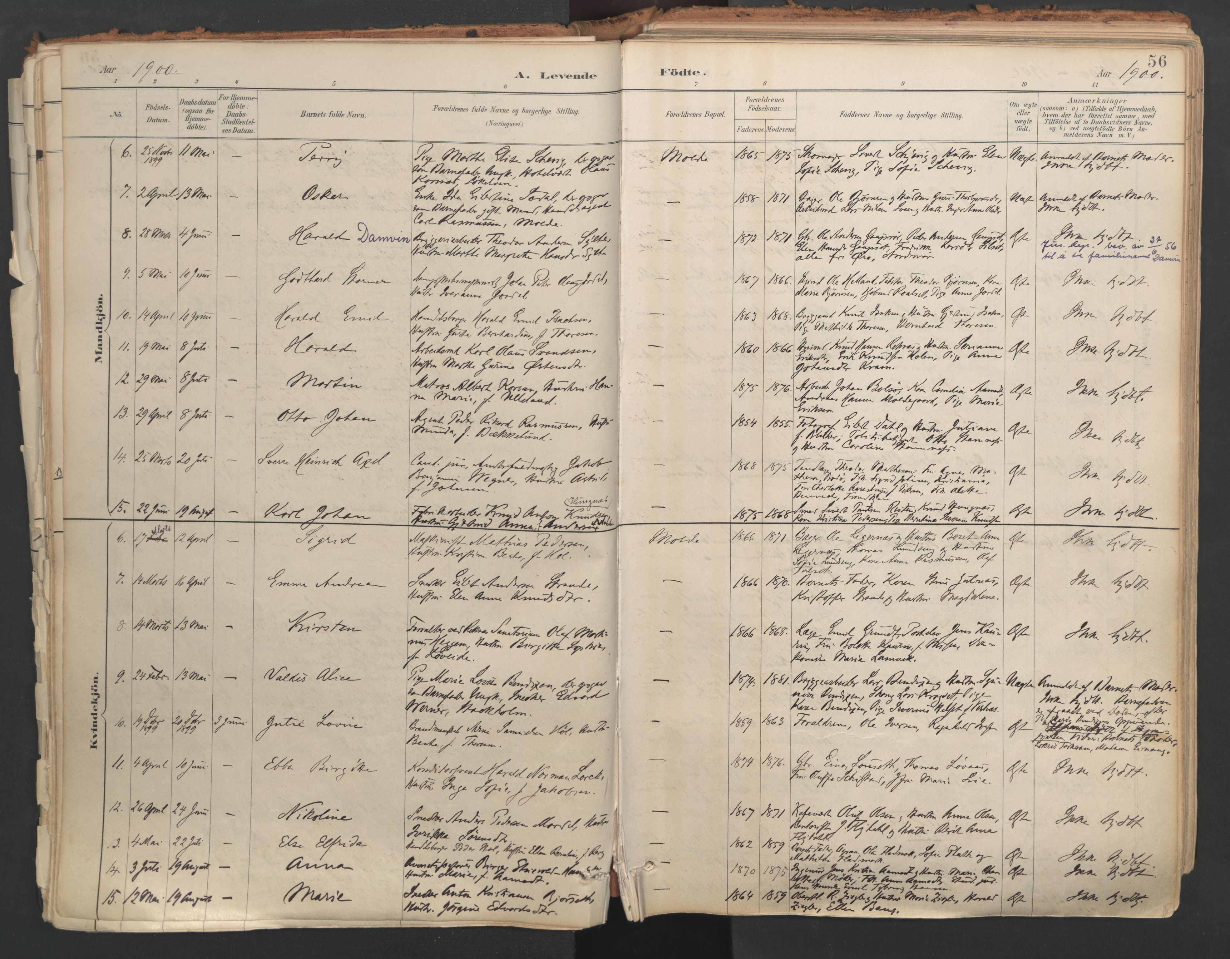 Ministerialprotokoller, klokkerbøker og fødselsregistre - Møre og Romsdal, AV/SAT-A-1454/558/L0692: Ministerialbok nr. 558A06, 1887-1971, s. 56