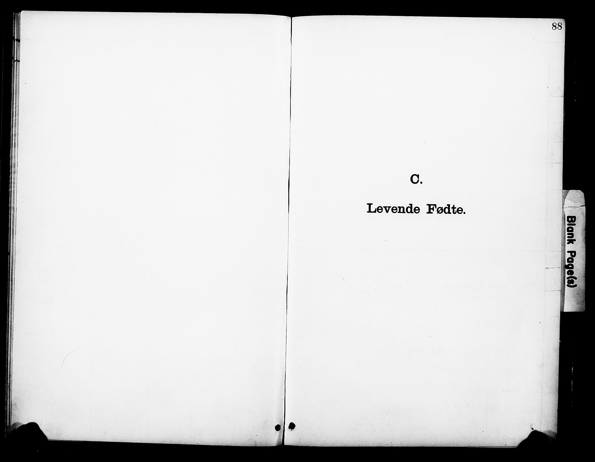 Ramnes kirkebøker, AV/SAKO-A-314/F/Fc/L0002: Ministerialbok nr. III 2, 1900-1914, s. 88
