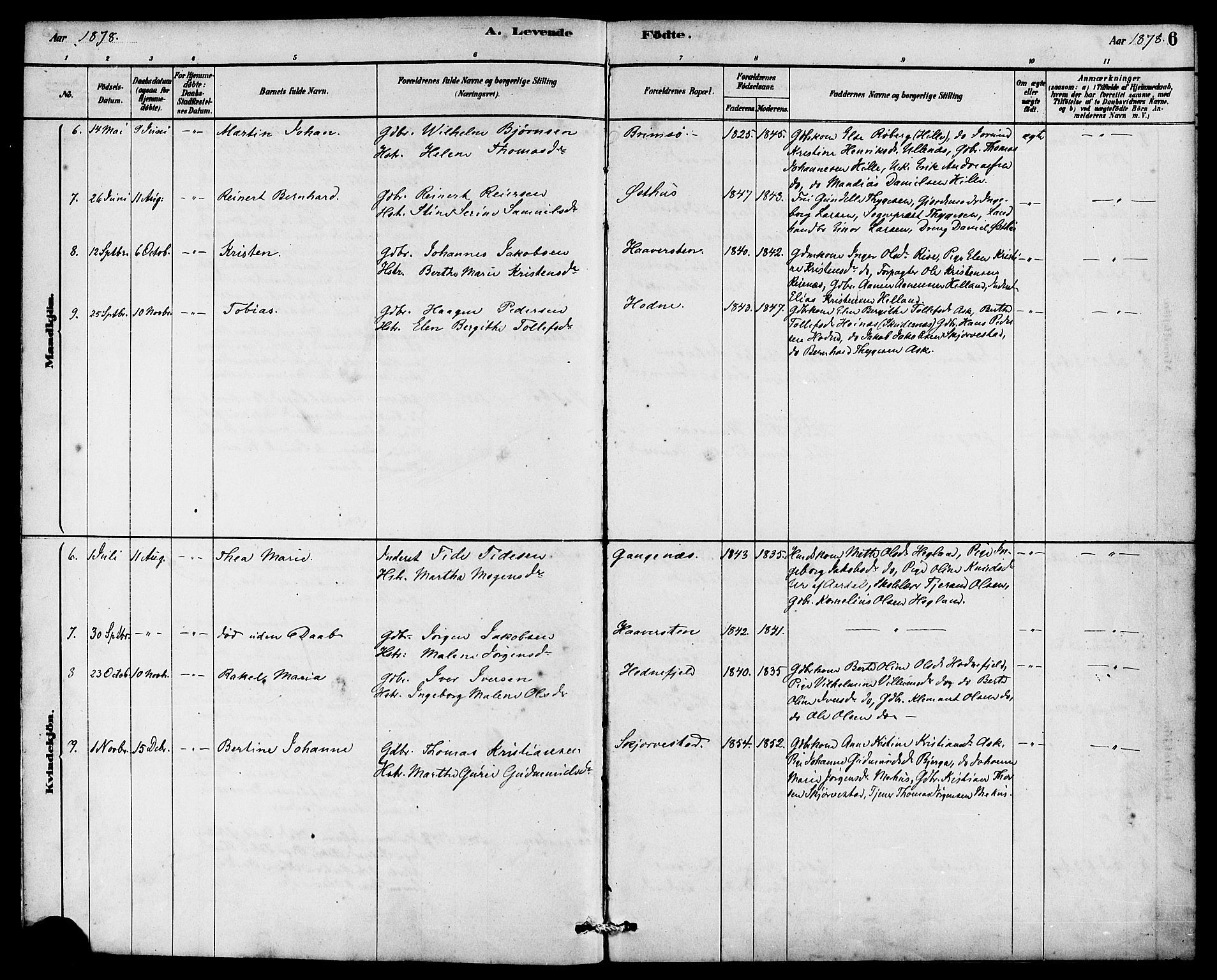 Rennesøy sokneprestkontor, SAST/A -101827/H/Ha/Haa/L0007: Ministerialbok nr. A 7, 1878-1884, s. 6