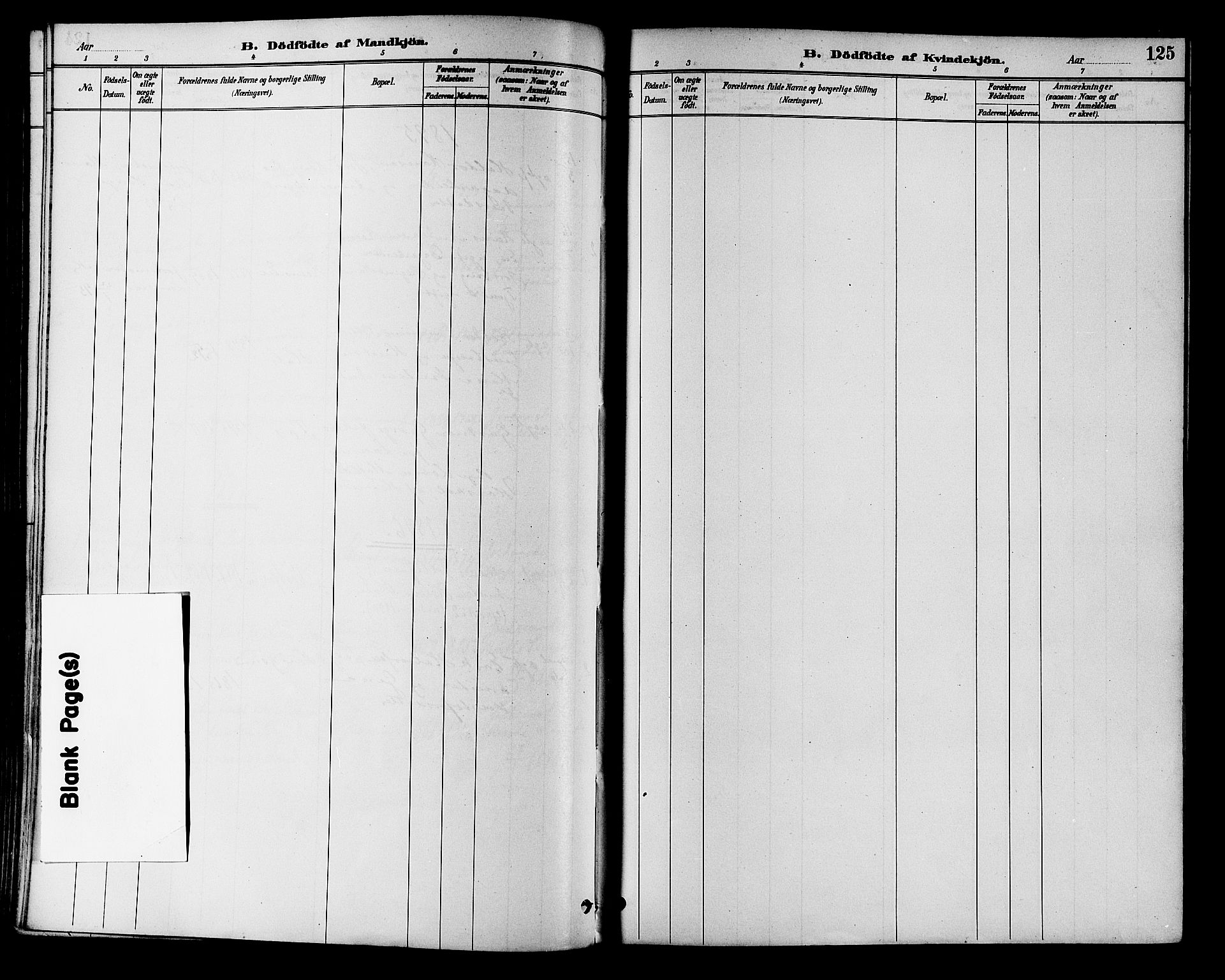 Eiker kirkebøker, SAKO/A-4/F/Fb/L0002: Ministerialbok nr. II 2, 1889-1896, s. 125