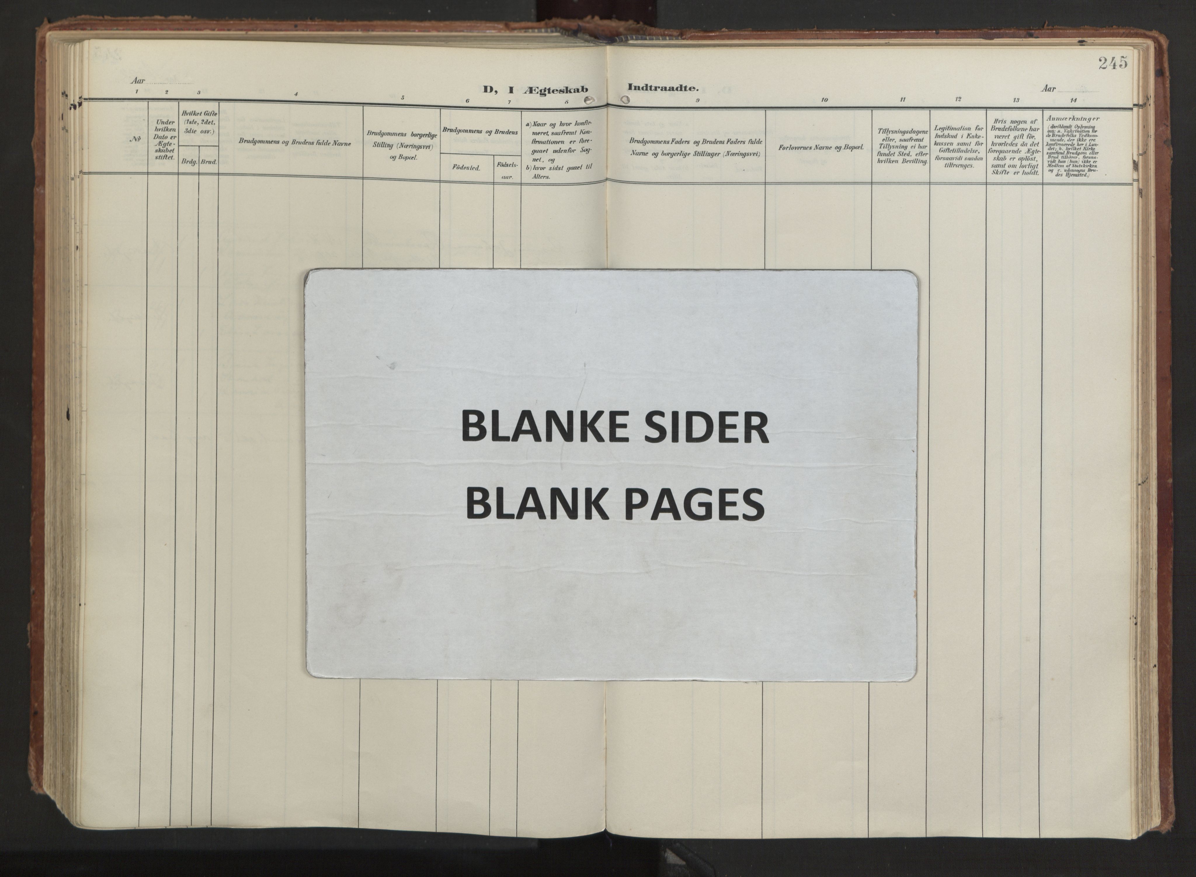 Ministerialprotokoller, klokkerbøker og fødselsregistre - Møre og Romsdal, AV/SAT-A-1454/511/L0144: Ministerialbok nr. 511A11, 1906-1923, s. 245