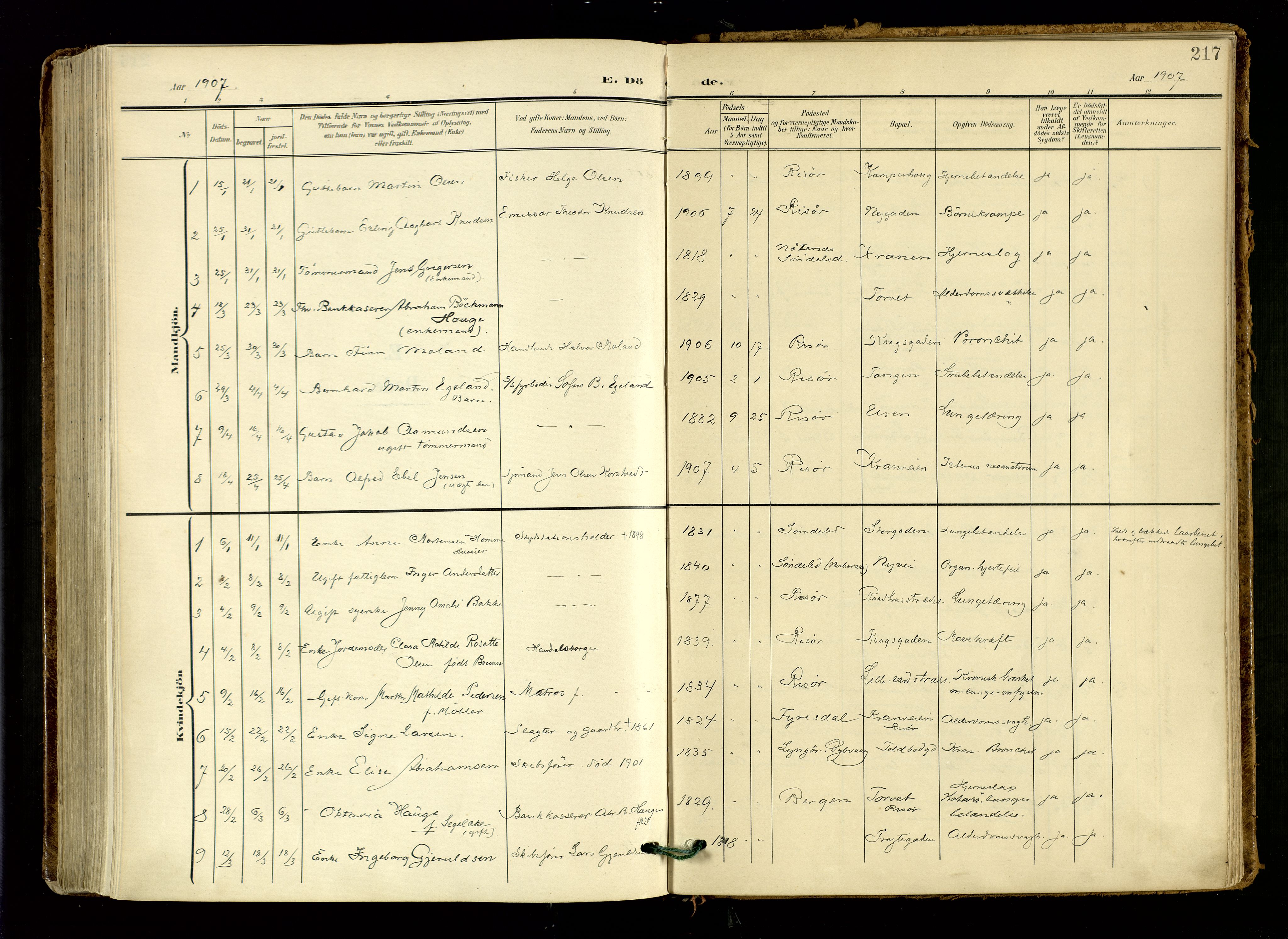 Risør sokneprestkontor, AV/SAK-1111-0035/F/Fa/L0011: Ministerialbok nr. A 11, 1907-1920, s. 217