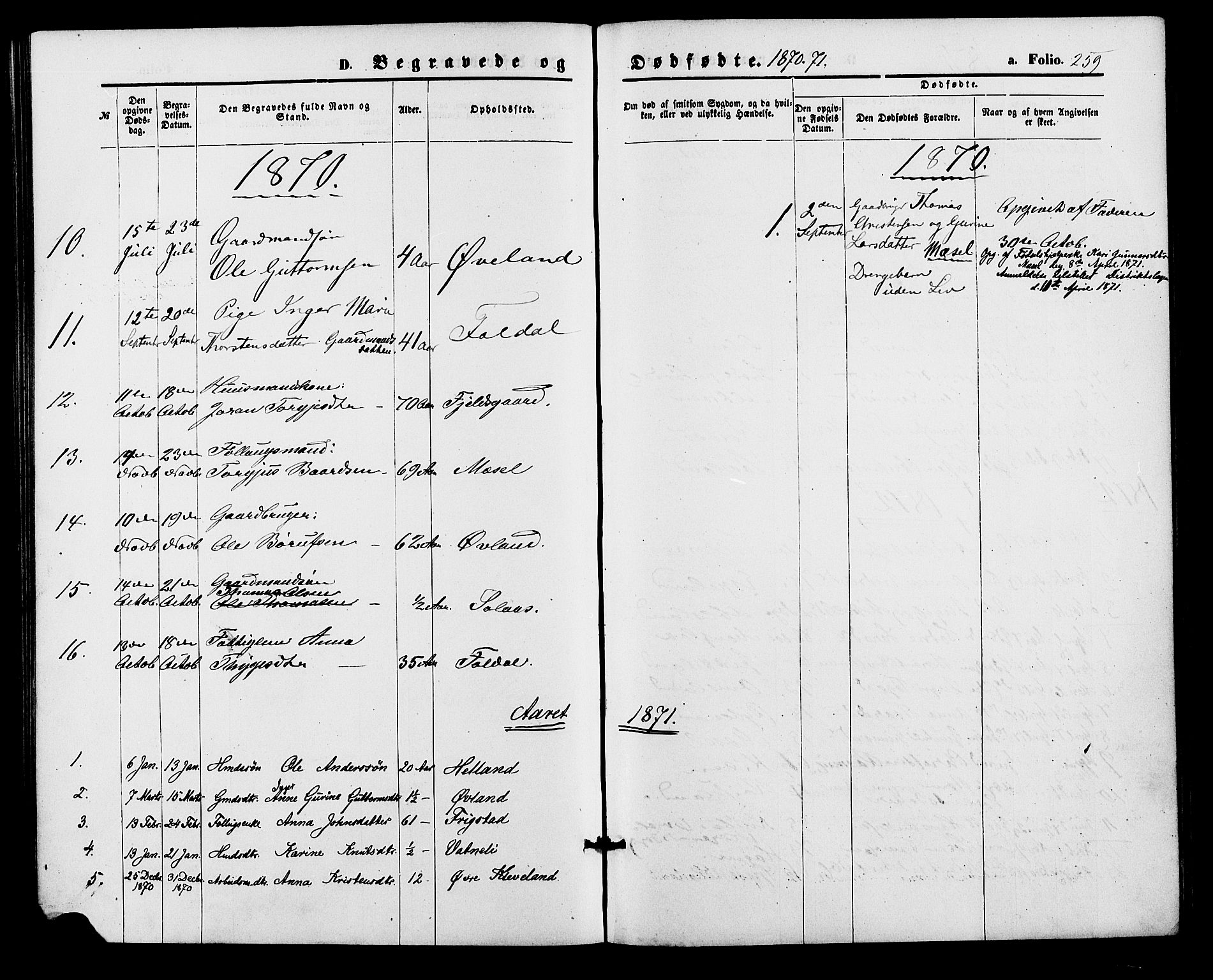 Bjelland sokneprestkontor, SAK/1111-0005/F/Fa/Fab/L0003: Ministerialbok nr. A 3, 1870-1887, s. 259