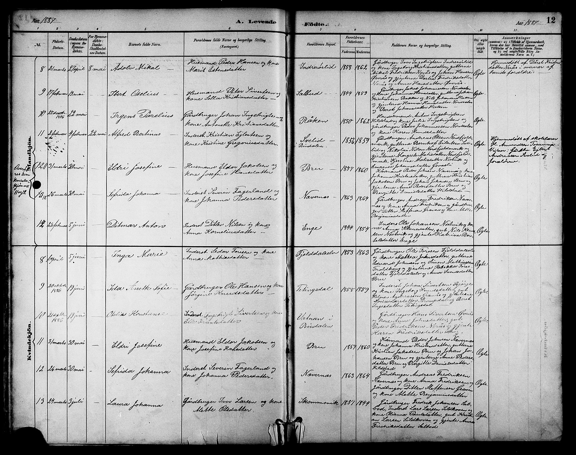 Ministerialprotokoller, klokkerbøker og fødselsregistre - Nordland, AV/SAT-A-1459/814/L0230: Klokkerbok nr. 814C03, 1884-1911, s. 12