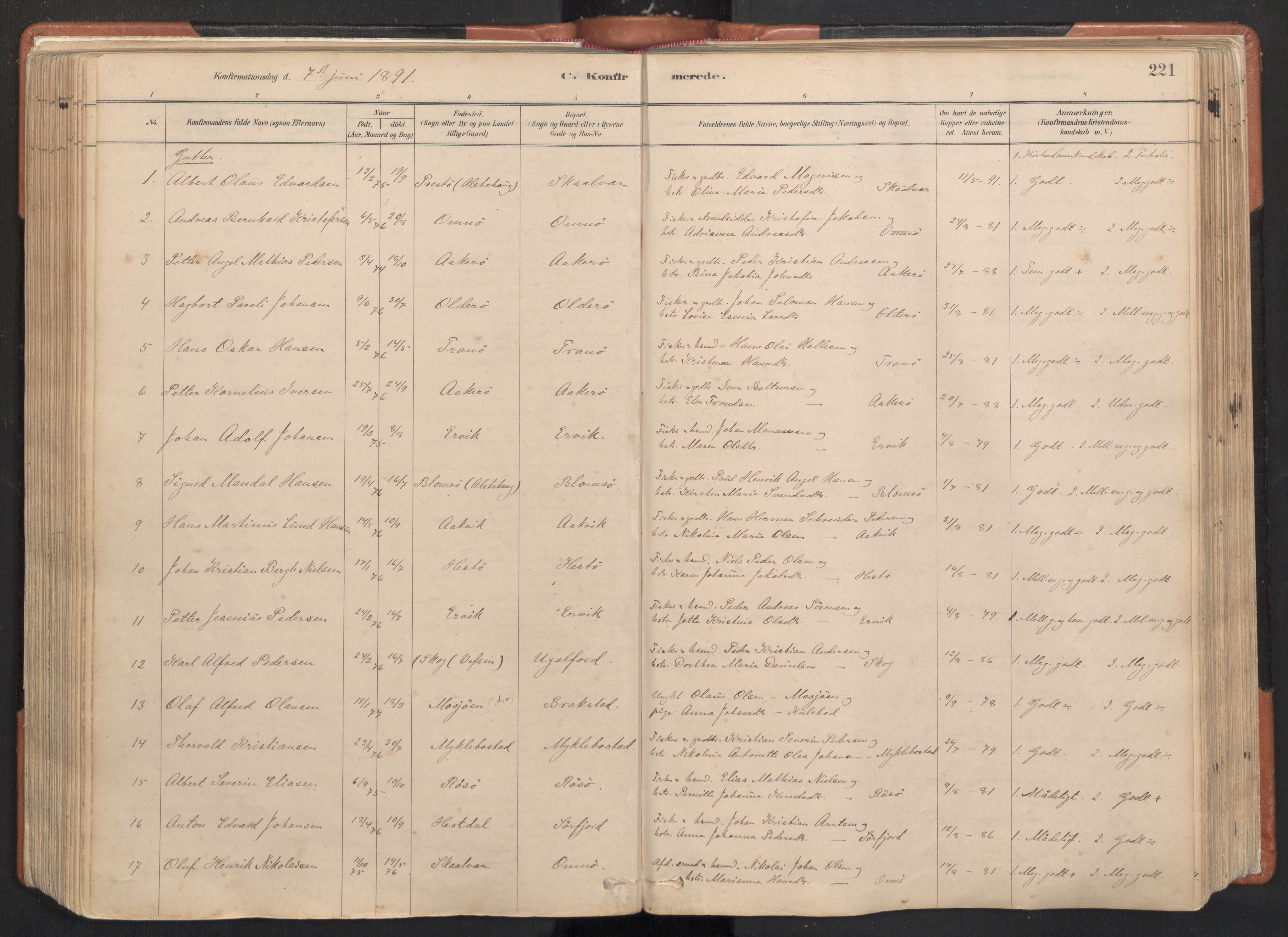 Ministerialprotokoller, klokkerbøker og fødselsregistre - Nordland, AV/SAT-A-1459/817/L0264: Ministerialbok nr. 817A04, 1878-1907, s. 221
