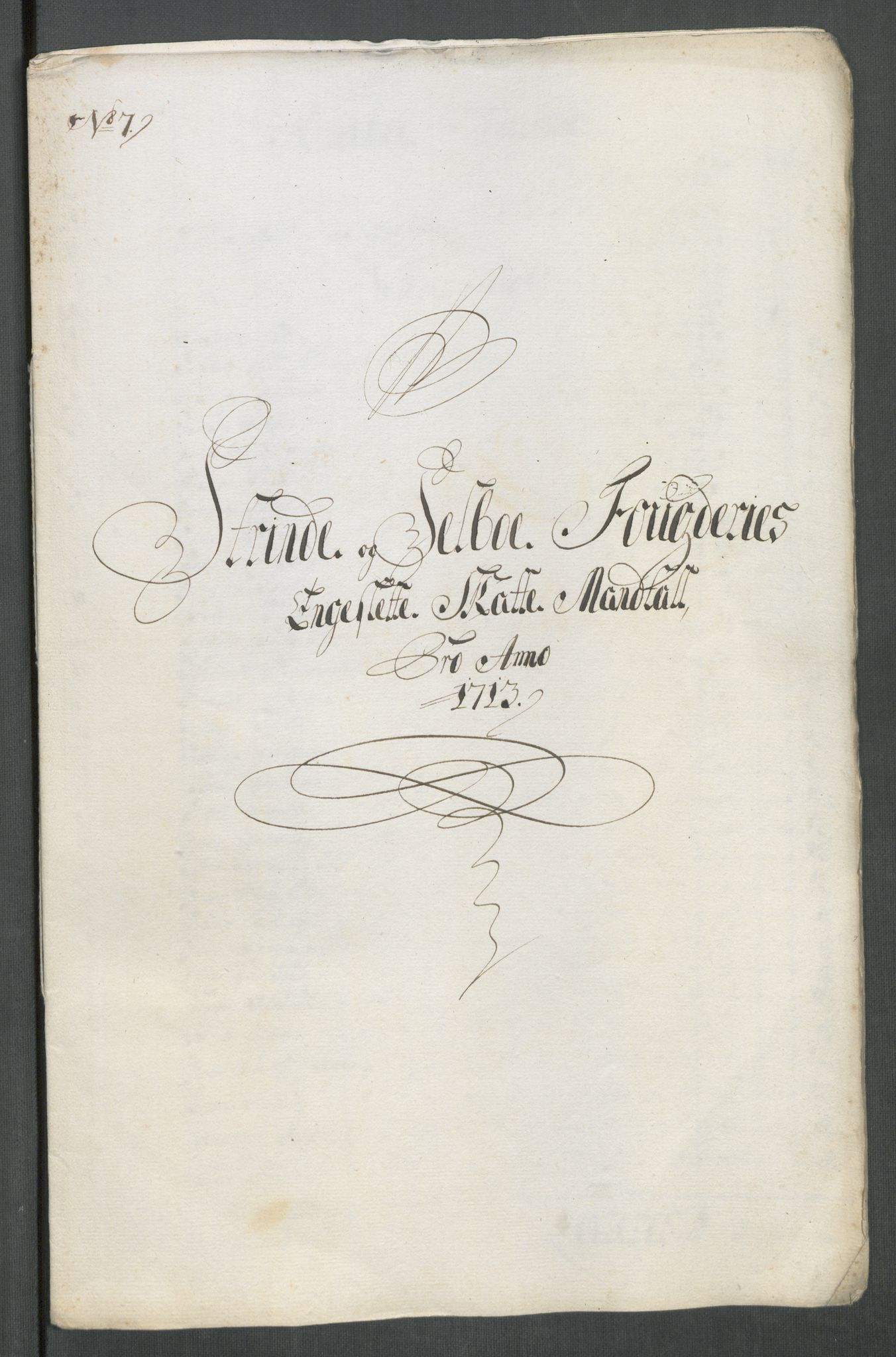 Rentekammeret inntil 1814, Reviderte regnskaper, Fogderegnskap, RA/EA-4092/R61/L4113: Fogderegnskap Strinda og Selbu, 1712-1713, s. 380