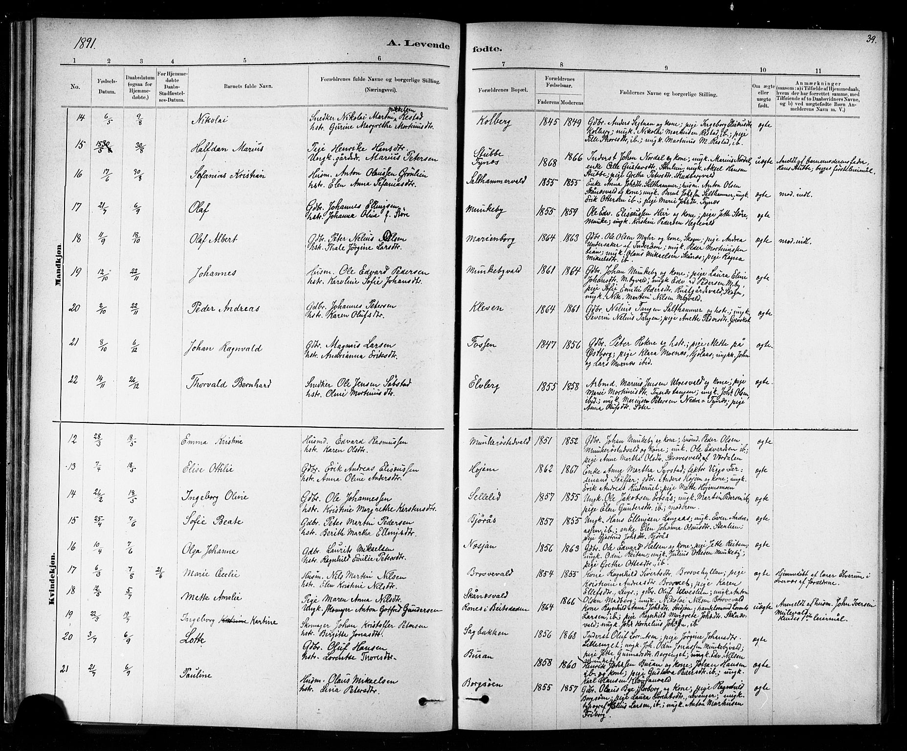 Ministerialprotokoller, klokkerbøker og fødselsregistre - Nord-Trøndelag, SAT/A-1458/721/L0208: Klokkerbok nr. 721C01, 1880-1917, s. 39