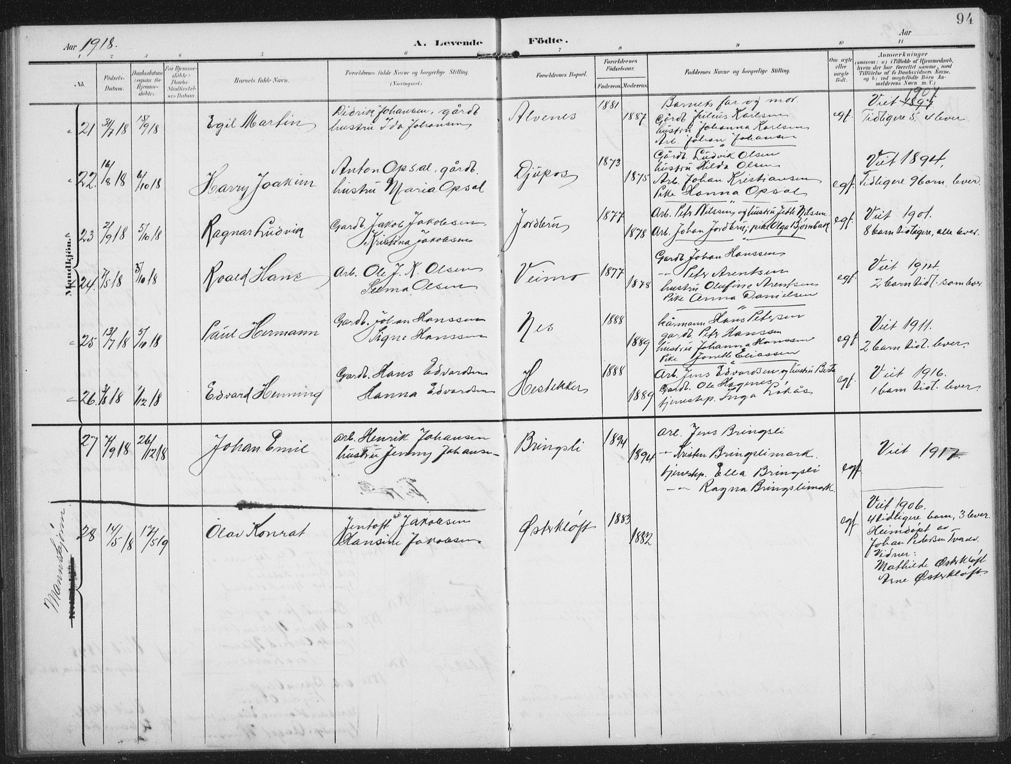 Ministerialprotokoller, klokkerbøker og fødselsregistre - Nordland, AV/SAT-A-1459/851/L0726: Klokkerbok nr. 851C01, 1902-1924, s. 94