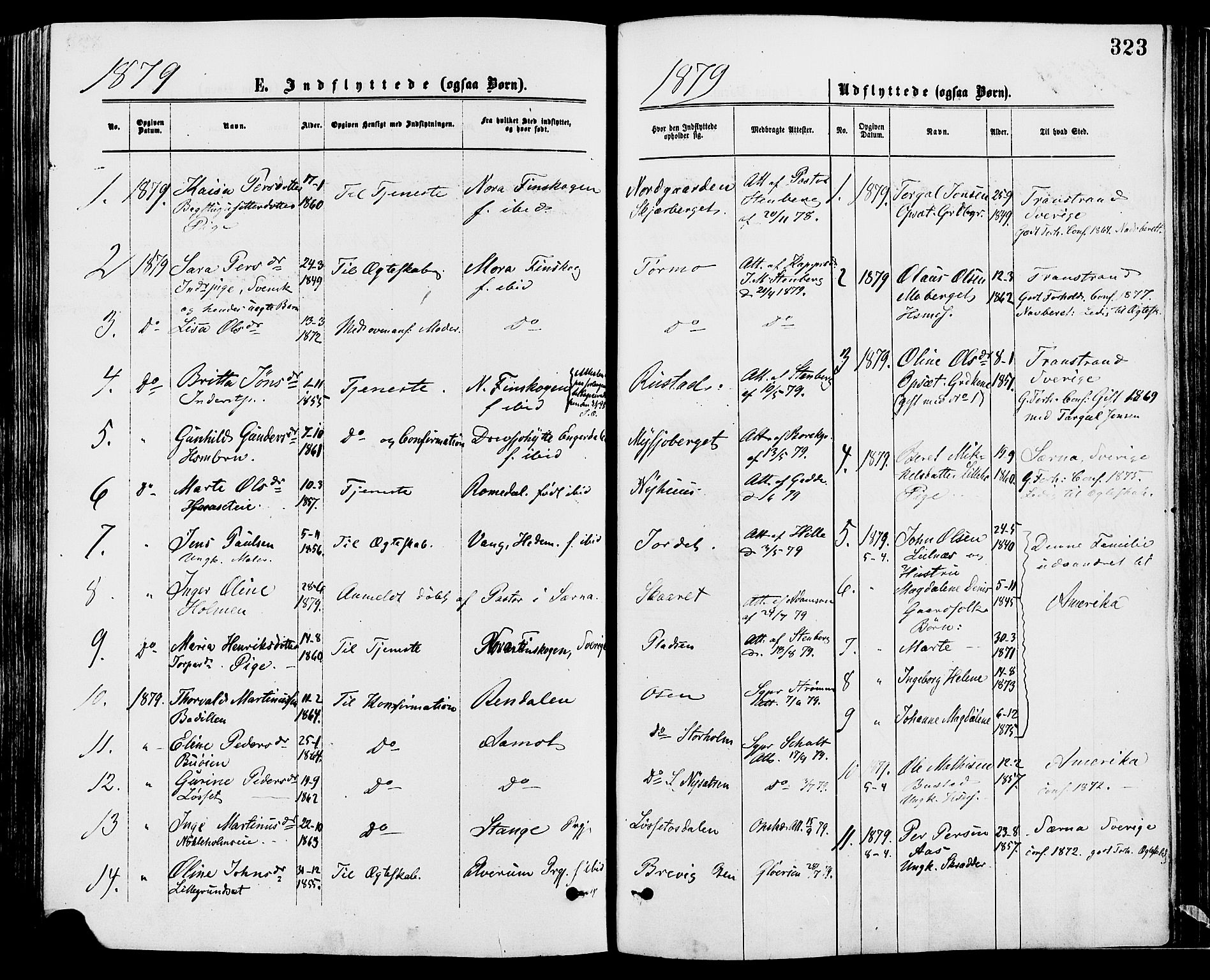 Trysil prestekontor, SAH/PREST-046/H/Ha/Haa/L0007: Ministerialbok nr. 7, 1874-1880, s. 323