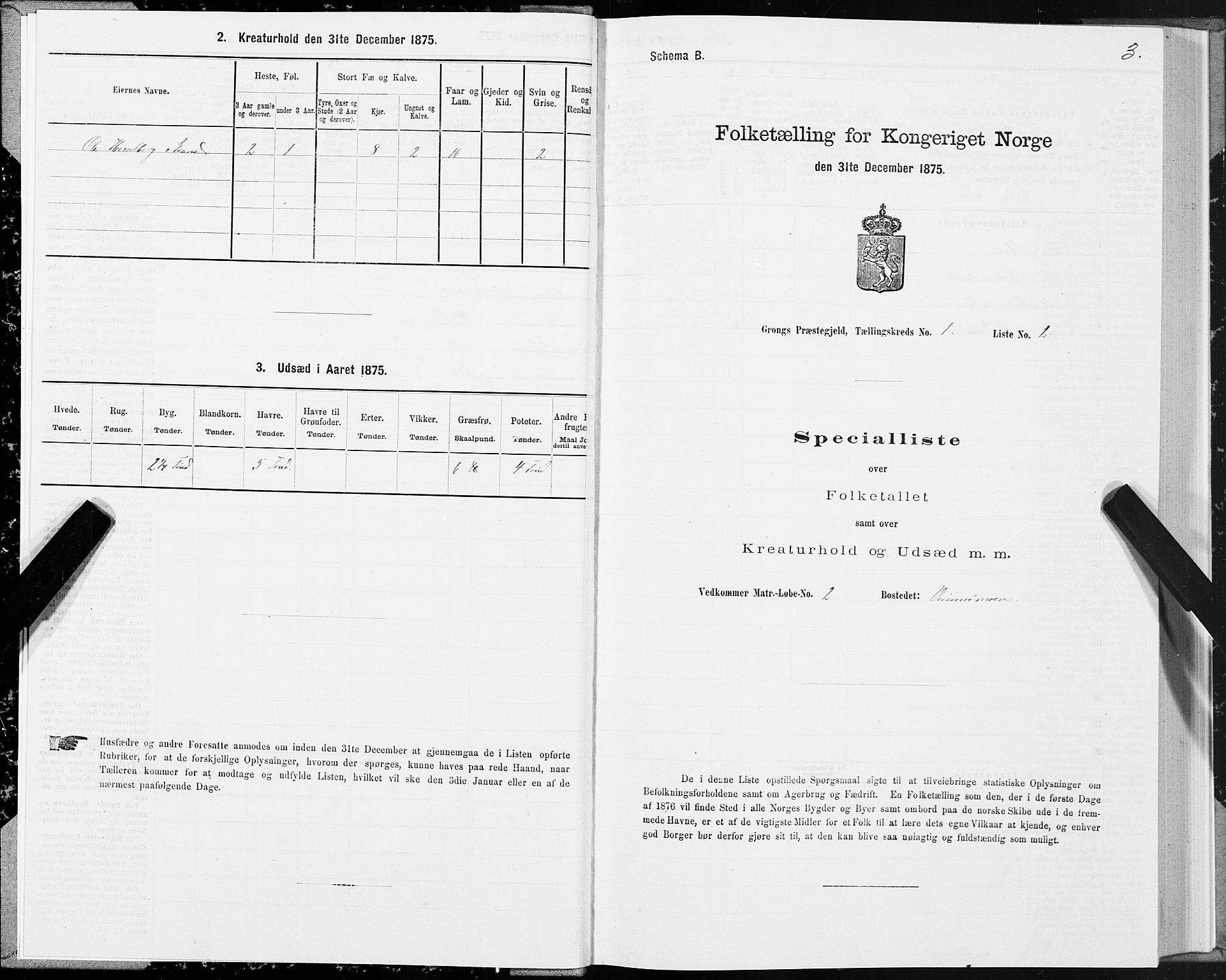 SAT, Folketelling 1875 for 1742P Grong prestegjeld, 1875, s. 1003