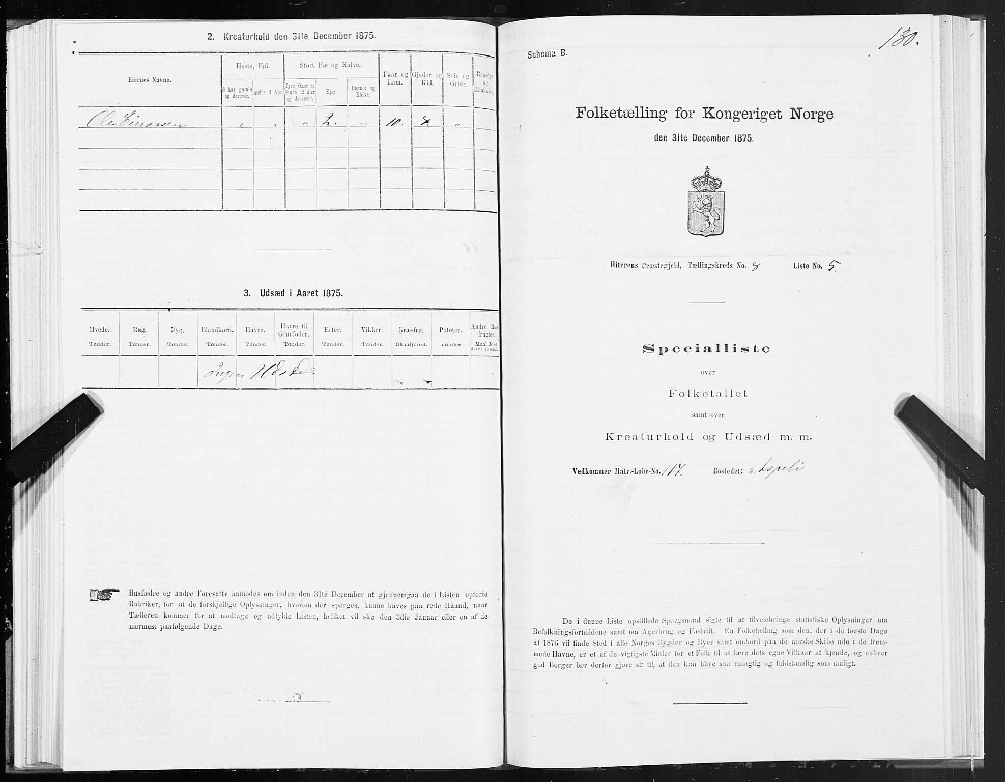 SAT, Folketelling 1875 for 1617P Hitra prestegjeld, 1875, s. 4130