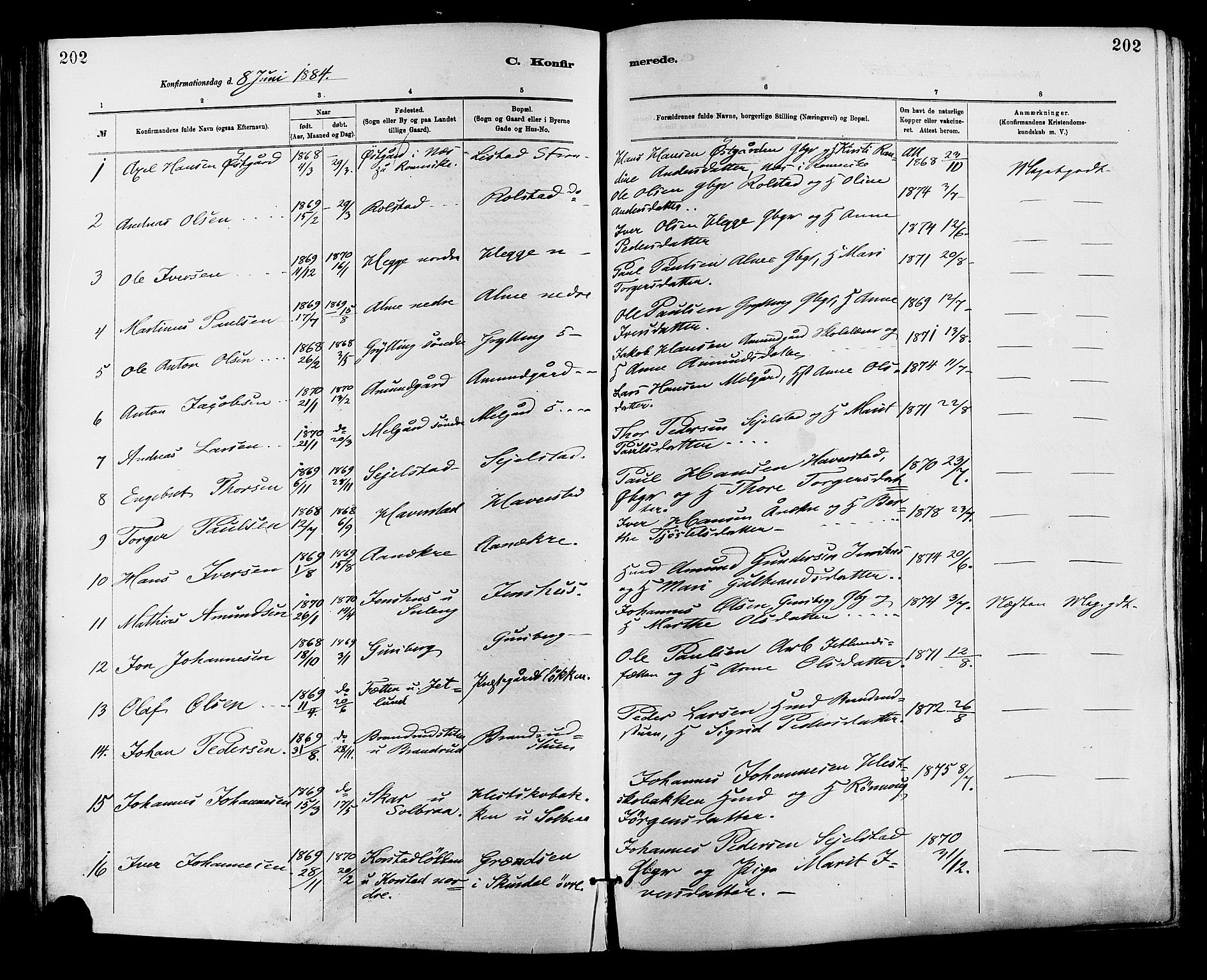 Sør-Fron prestekontor, AV/SAH-PREST-010/H/Ha/Haa/L0003: Ministerialbok nr. 3, 1881-1897, s. 202