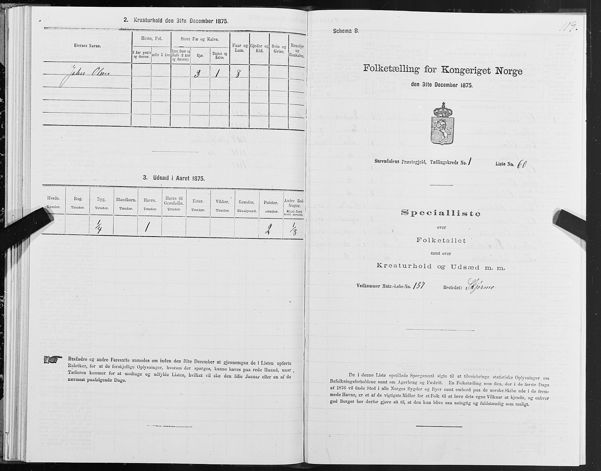 SAT, Folketelling 1875 for 1566P Surnadal prestegjeld, 1875, s. 1119