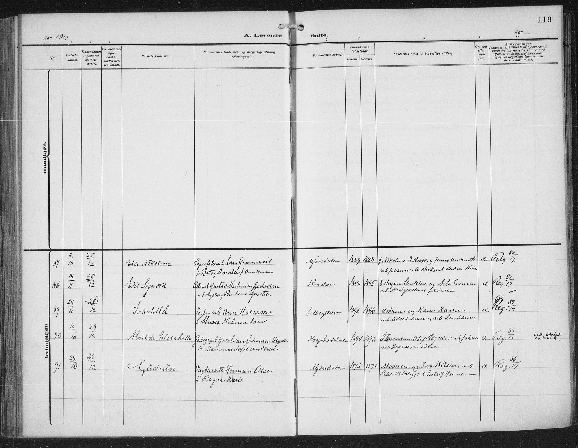 Nedre Eiker kirkebøker, AV/SAKO-A-612/F/Fa/L0007: Ministerialbok nr. 7, 1912-1918, s. 119