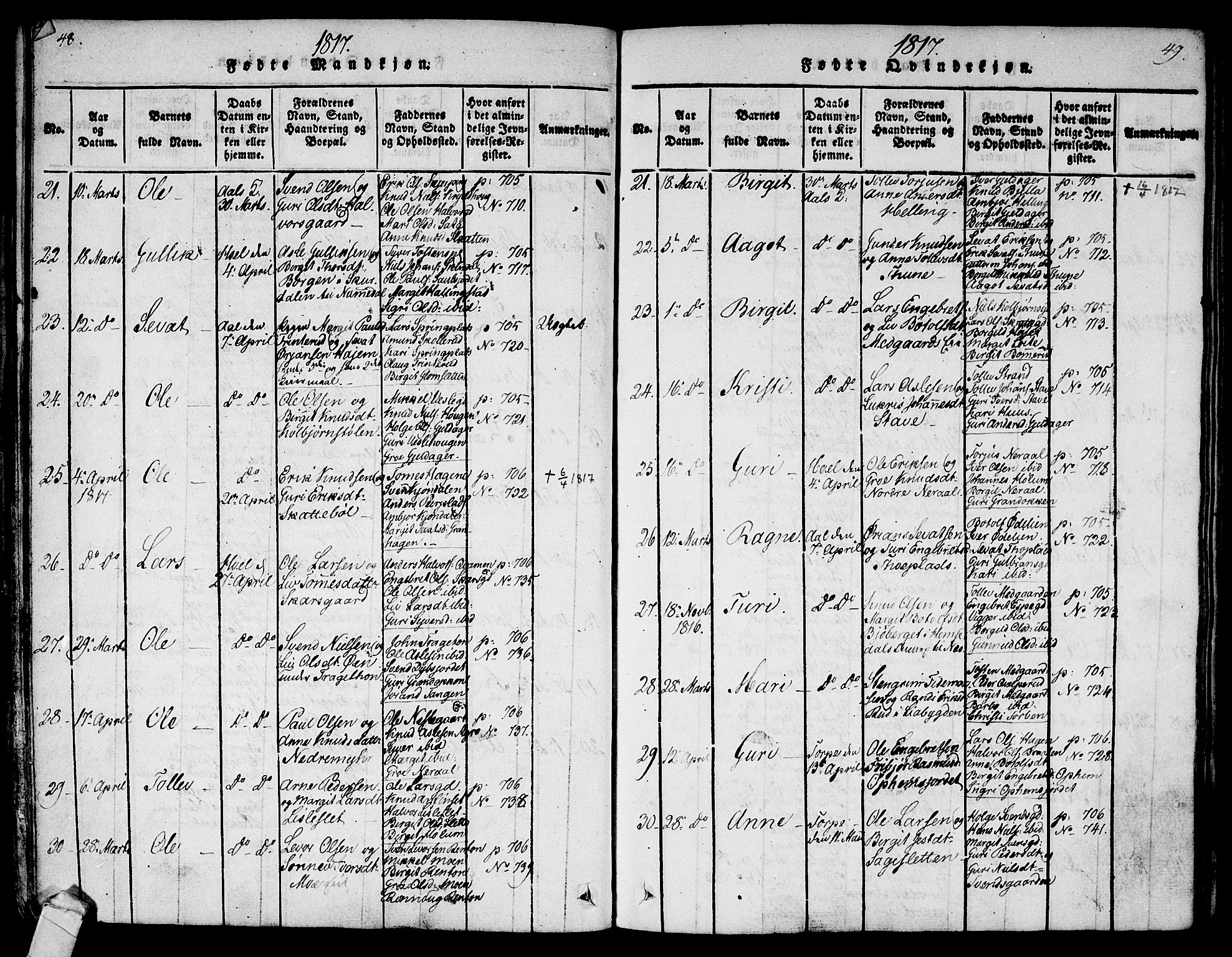 Ål kirkebøker, AV/SAKO-A-249/F/Fa/L0004: Ministerialbok nr. I 4, 1815-1825, s. 48-49