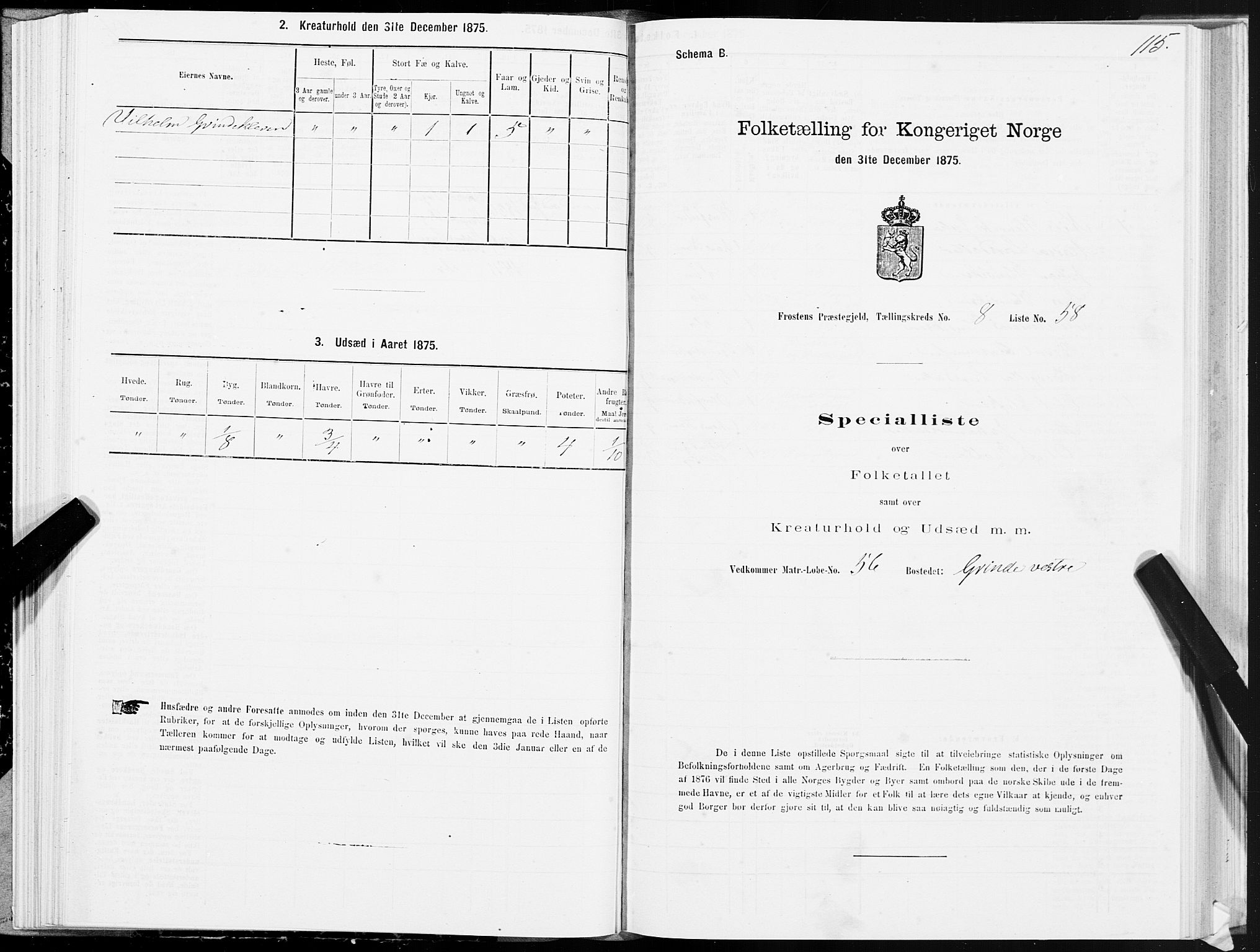 SAT, Folketelling 1875 for 1717P Frosta prestegjeld, 1875, s. 6115