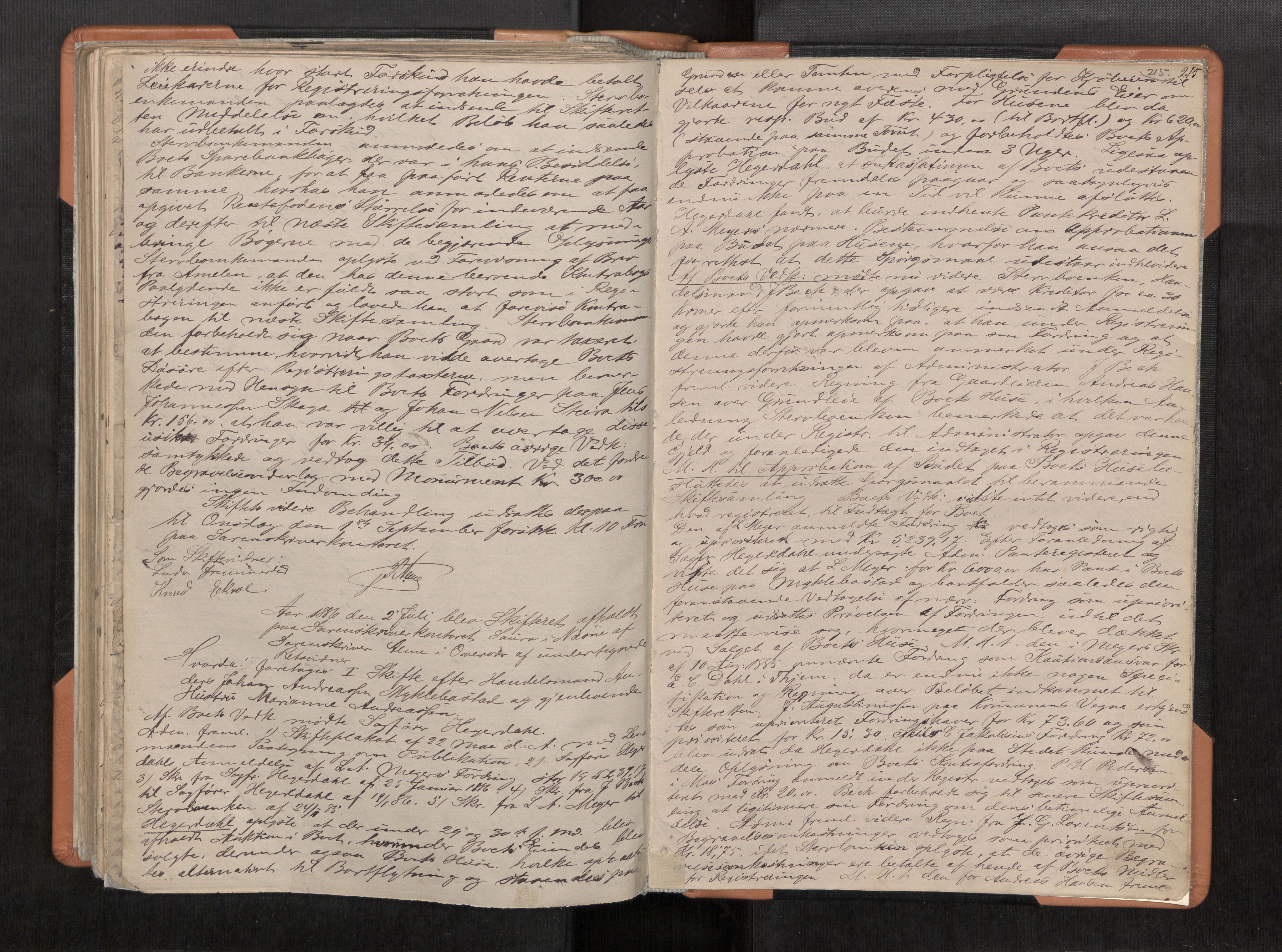 Rana sorenskriveri , AV/SAT-A-1108/1/3/3B/L0004: Skiftebehandlingsprotokoll, 1877-1886, s. 215