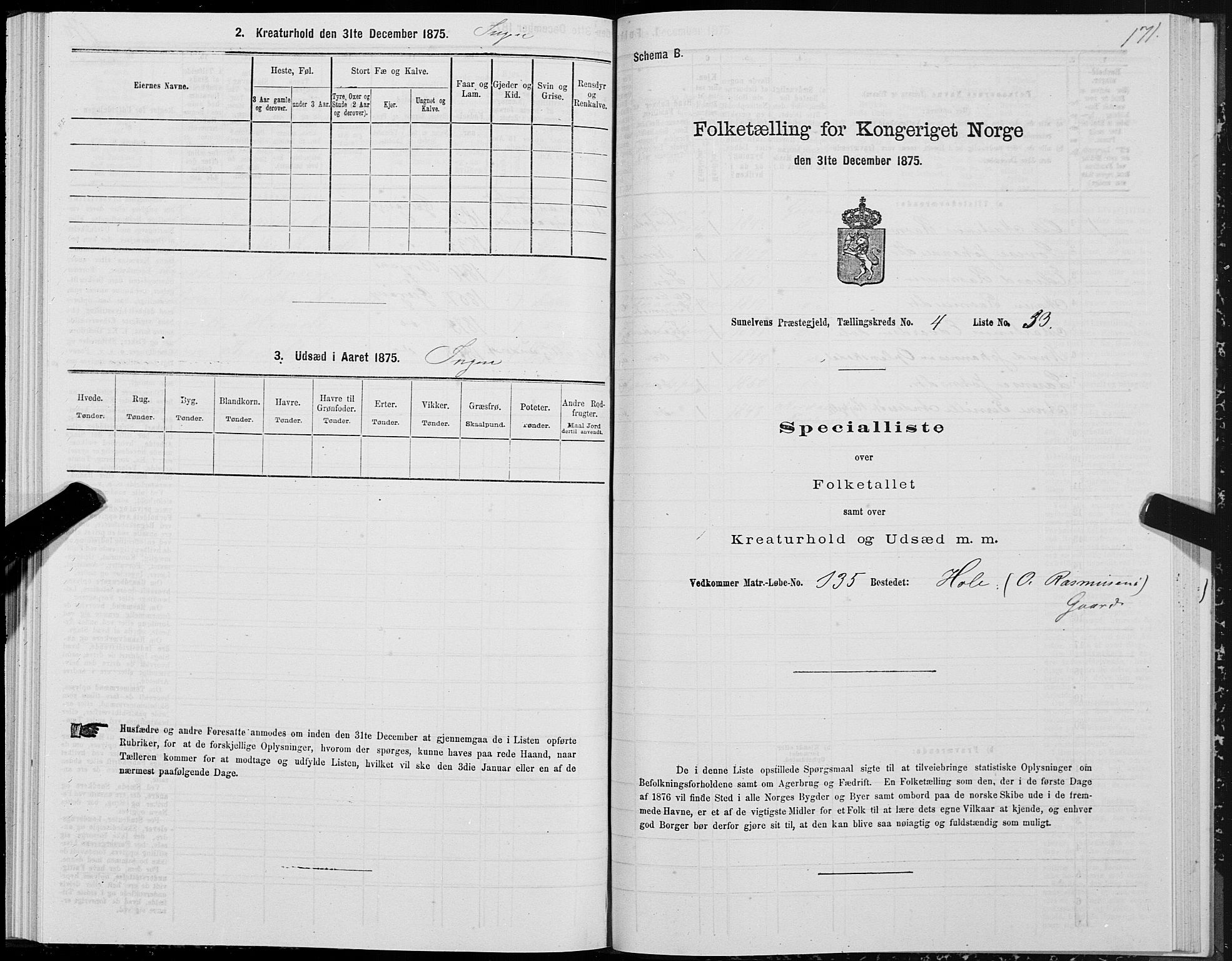 SAT, Folketelling 1875 for 1523P Sunnylven prestegjeld, 1875, s. 2171