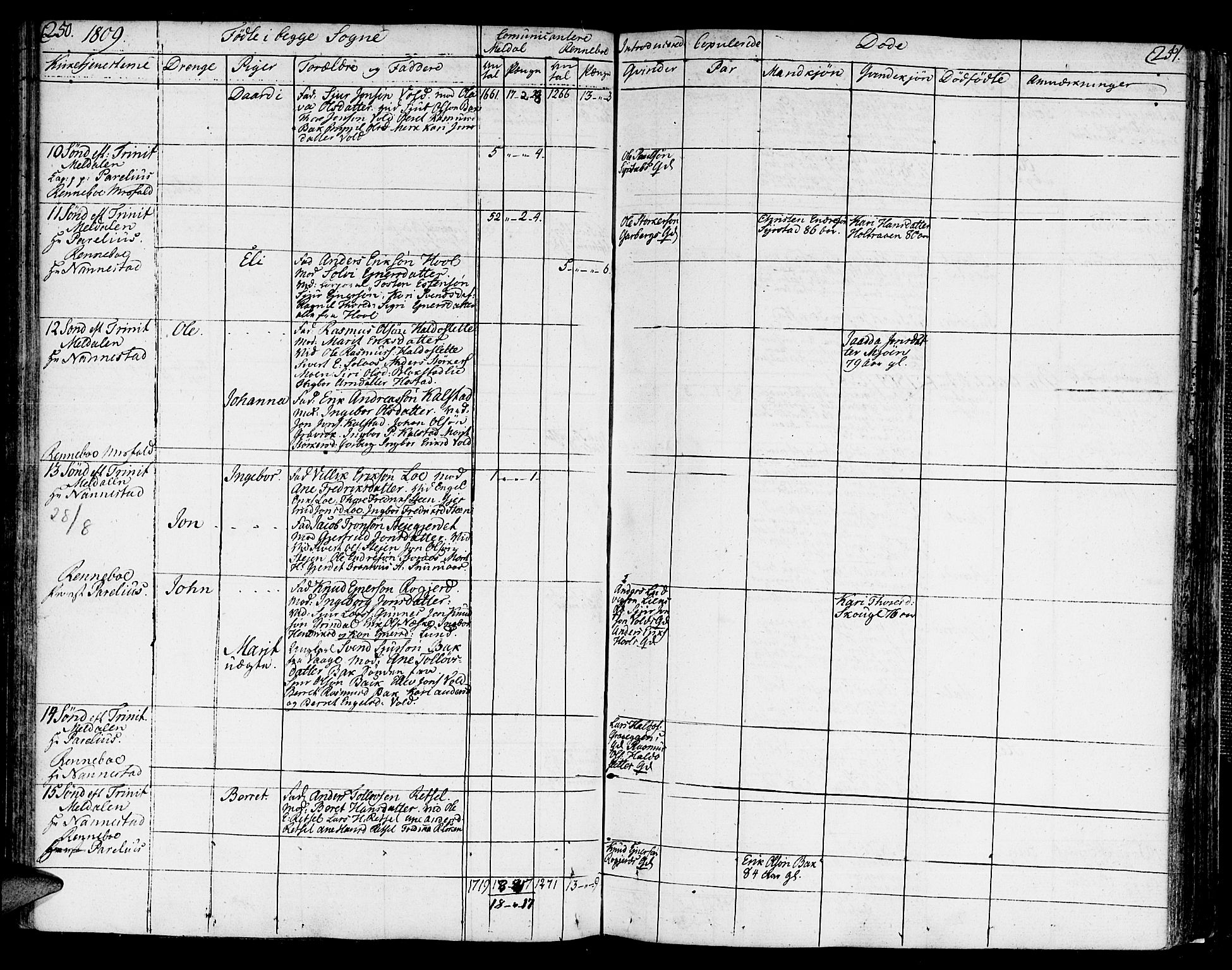 Ministerialprotokoller, klokkerbøker og fødselsregistre - Sør-Trøndelag, AV/SAT-A-1456/672/L0852: Ministerialbok nr. 672A05, 1776-1815, s. 250-251