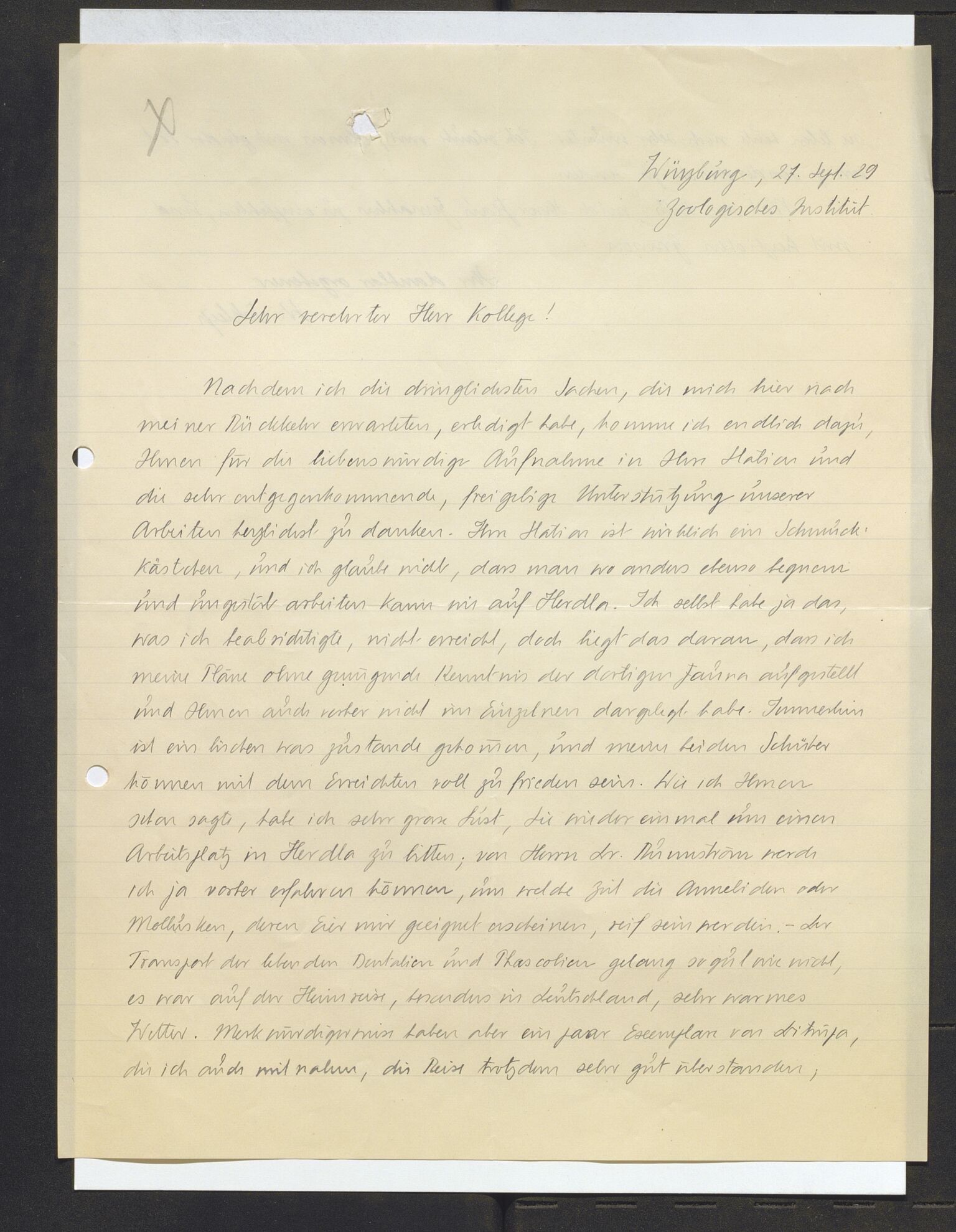 Bergens Museum, AV/SAB-A-17301/13/D/L0002: Korrespondanse , 1928-1940, s. 243