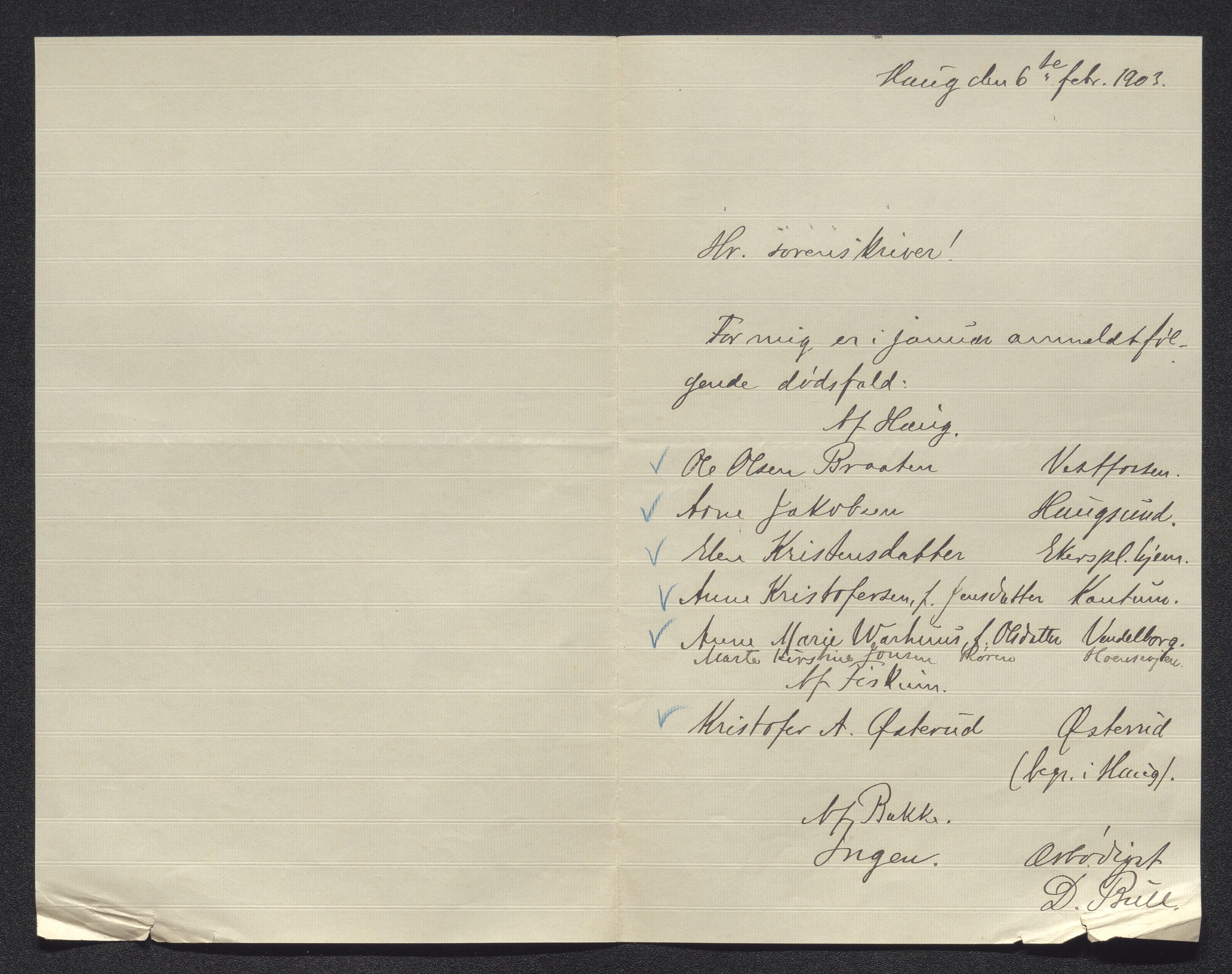 Eiker, Modum og Sigdal sorenskriveri, AV/SAKO-A-123/H/Ha/Hab/L0030: Dødsfallsmeldinger, 1903-1905, s. 3