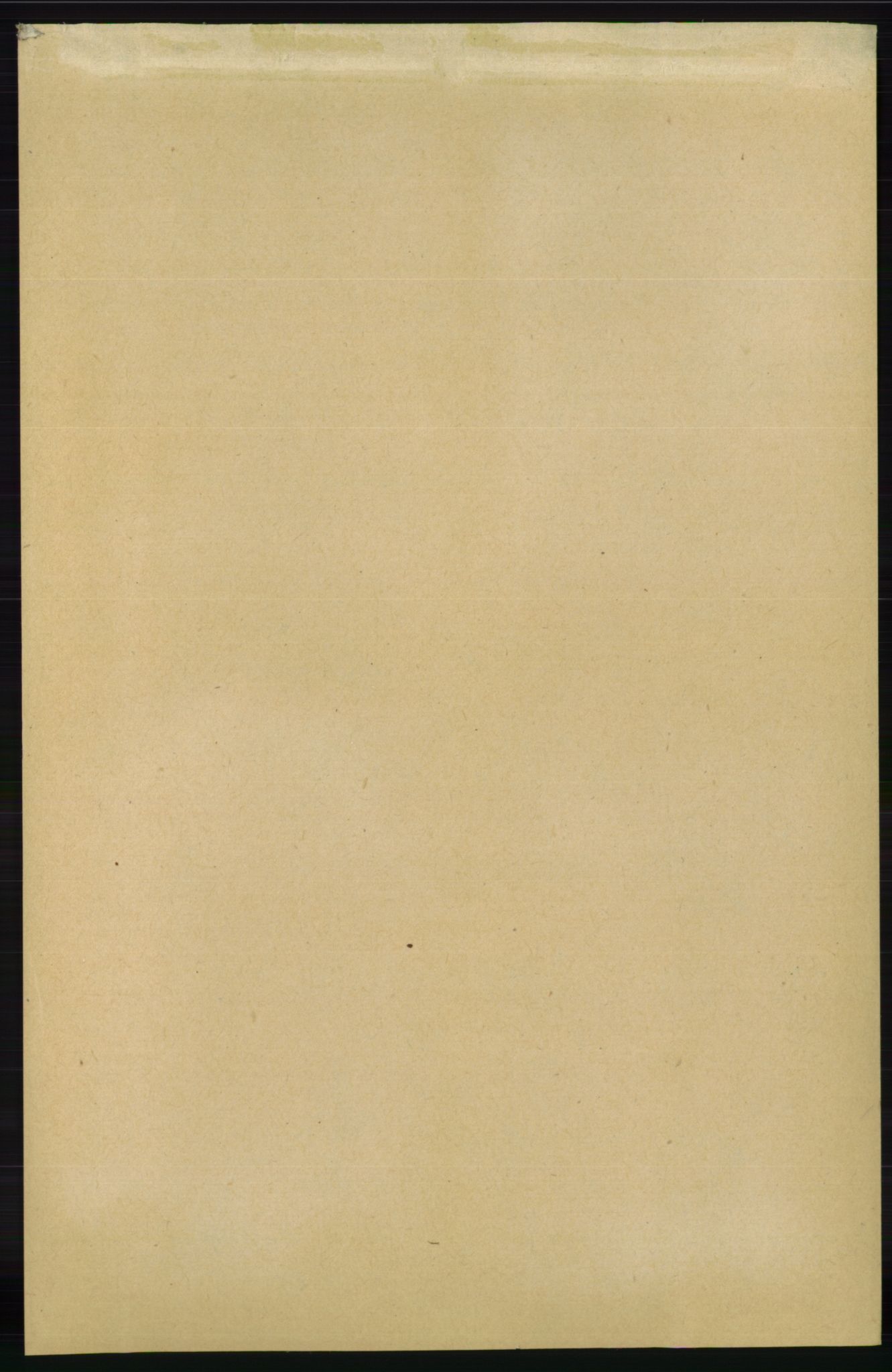 RA, Folketelling 1891 for 0922 Hisøy herred, 1891, s. 3307