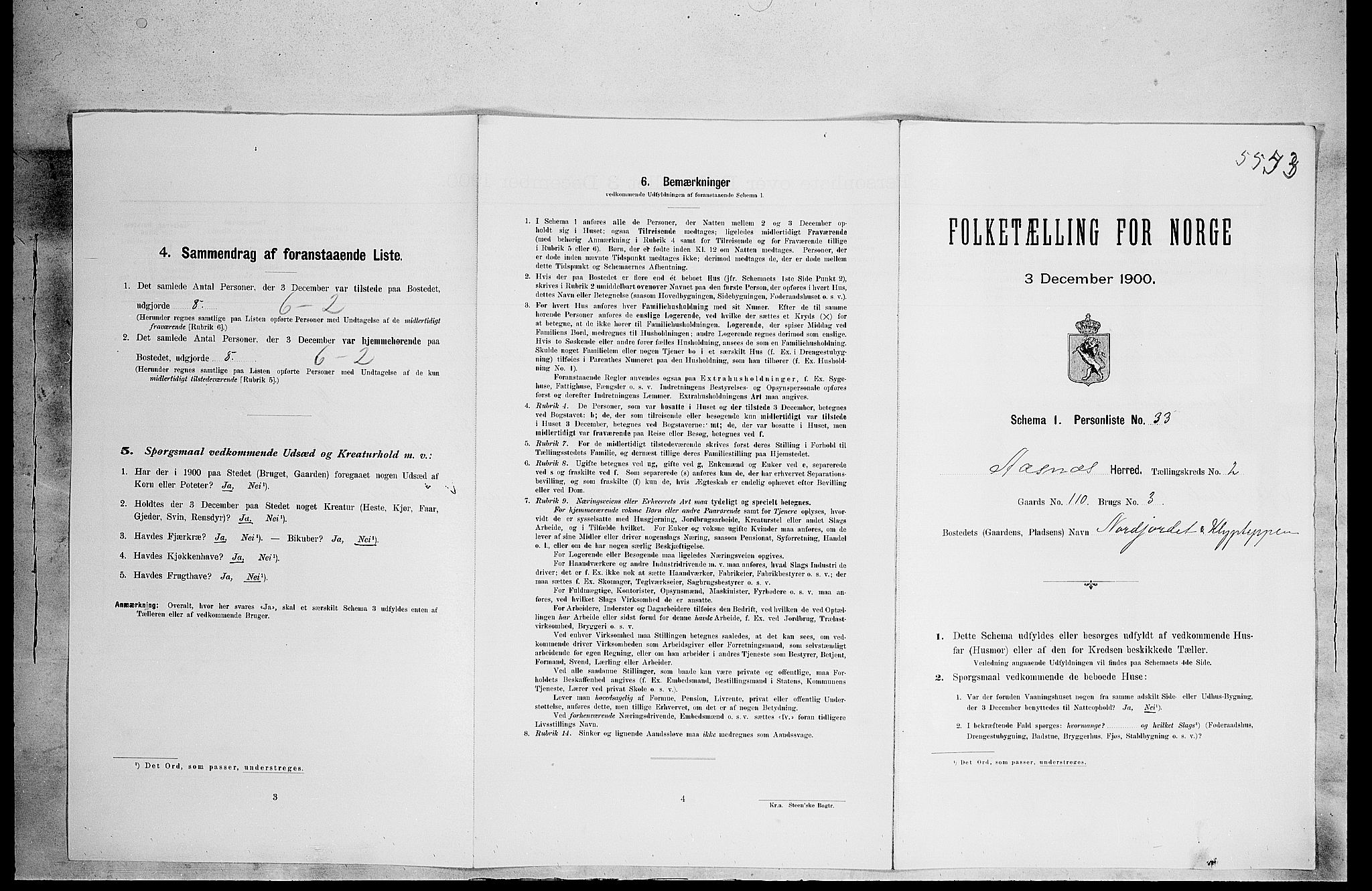 SAH, Folketelling 1900 for 0425 Åsnes herred, 1900, s. 317