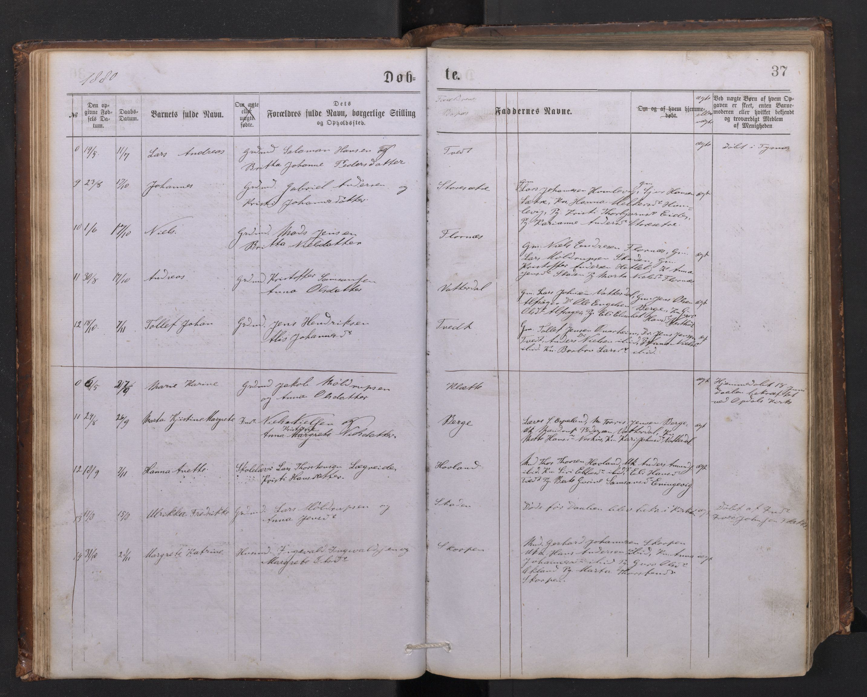 Tysnes sokneprestembete, AV/SAB-A-78601/H/Hab: Klokkerbok nr. C 1, 1873-1895, s. 36b-37a