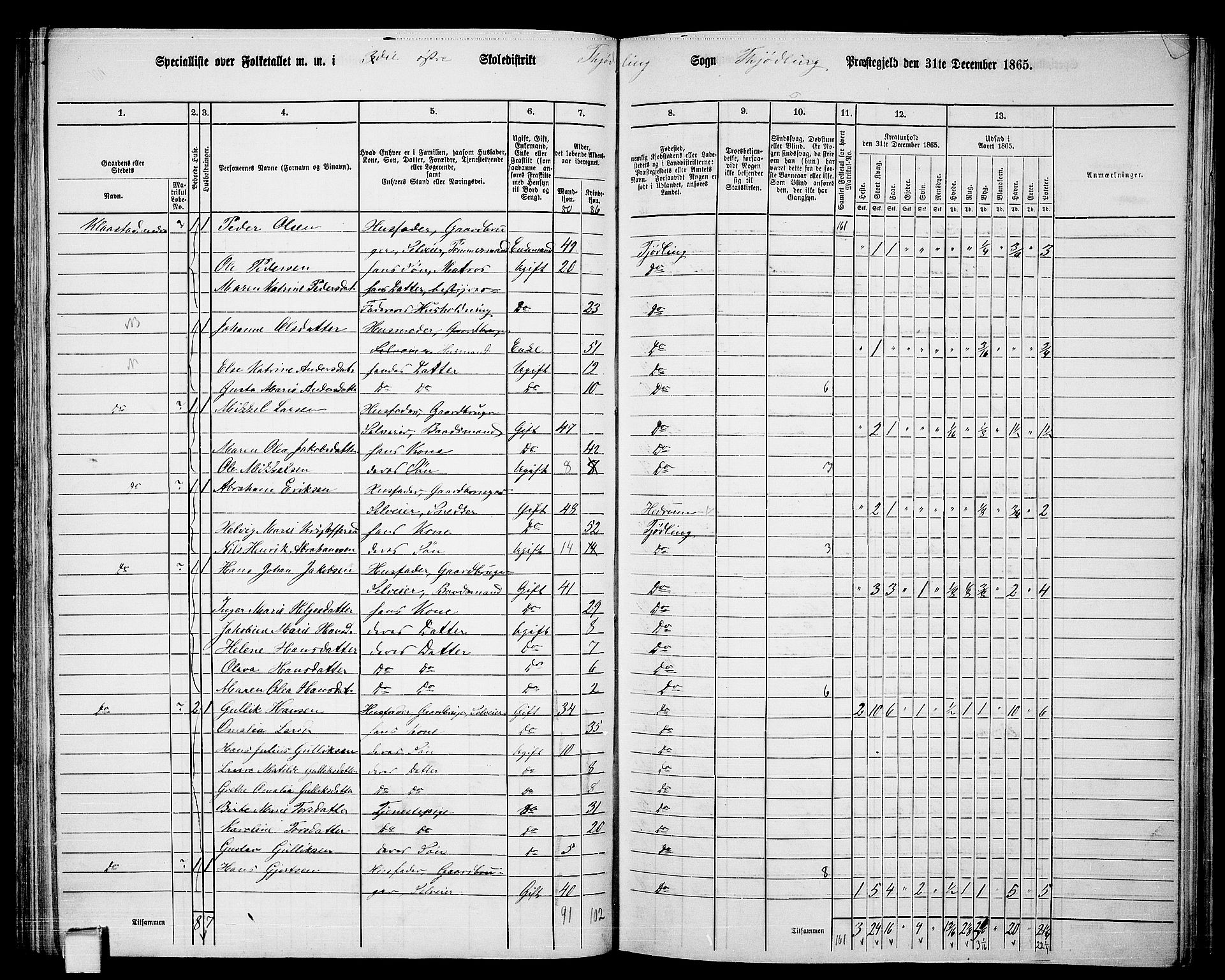 RA, Folketelling 1865 for 0725P Tjølling prestegjeld, 1865, s. 108