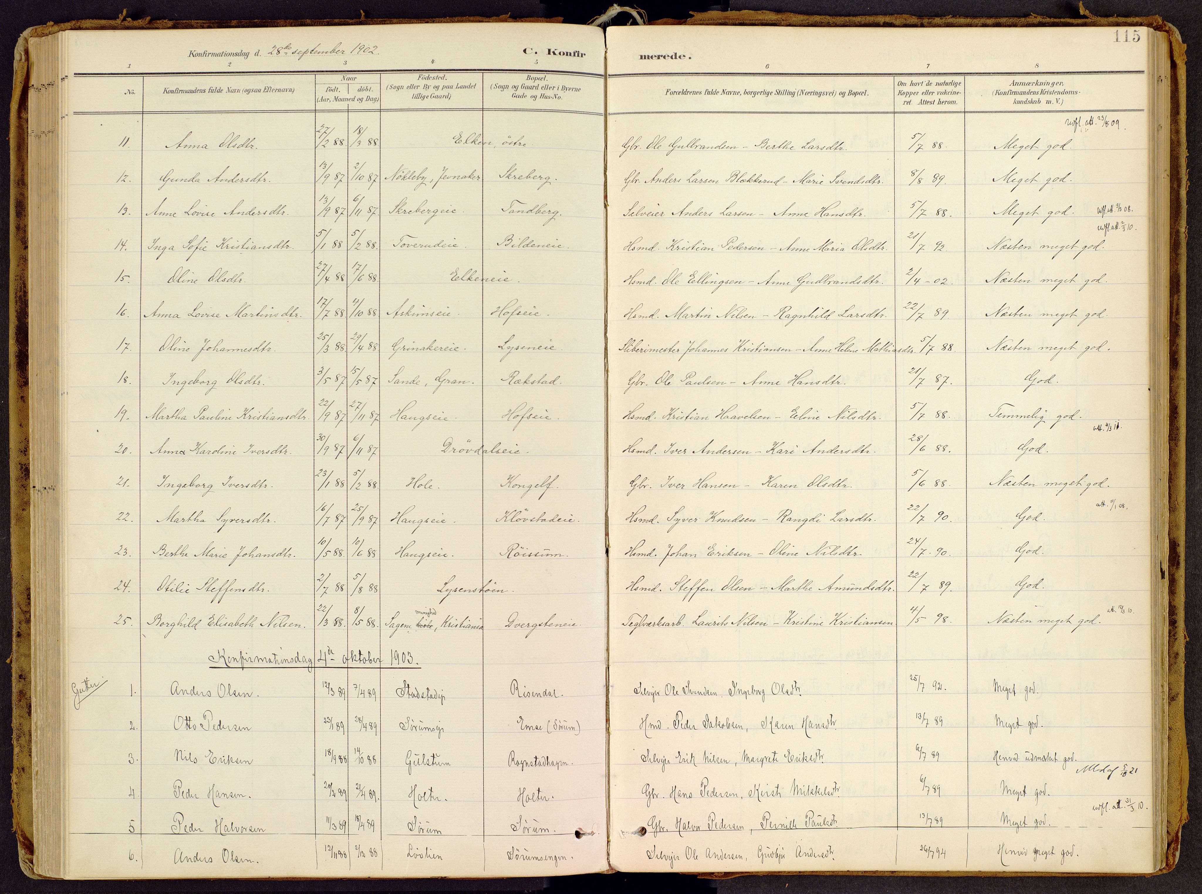 Brandbu prestekontor, SAH/PREST-114/H/Ha/Haa/L0002: Ministerialbok nr. 2, 1899-1914, s. 115