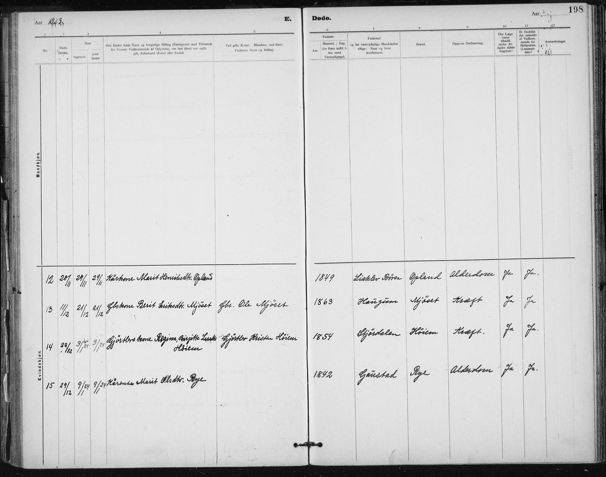 Ministerialprotokoller, klokkerbøker og fødselsregistre - Sør-Trøndelag, AV/SAT-A-1456/612/L0381: Ministerialbok nr. 612A13, 1907-1923, s. 198