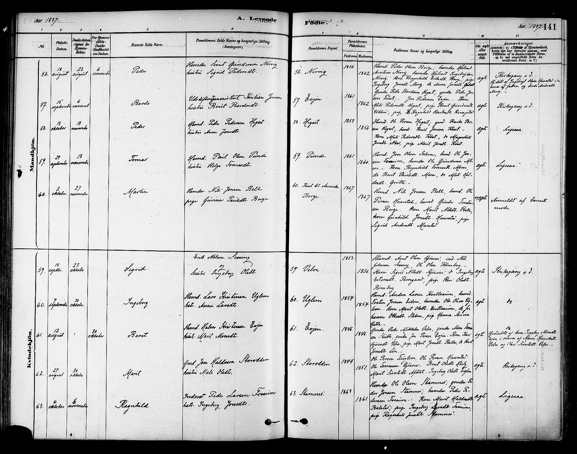 Ministerialprotokoller, klokkerbøker og fødselsregistre - Sør-Trøndelag, SAT/A-1456/695/L1148: Ministerialbok nr. 695A08, 1878-1891, s. 141