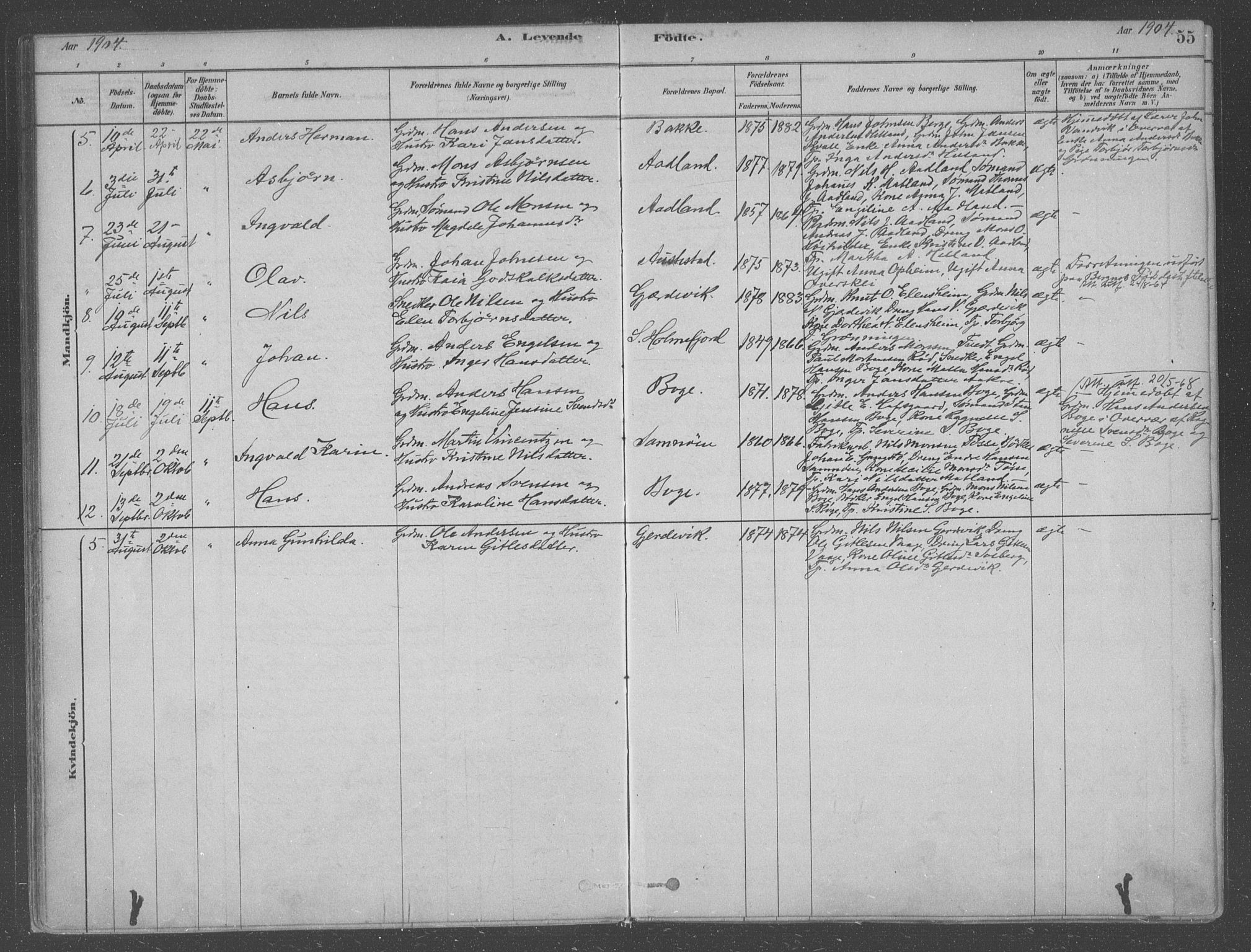 Fusa sokneprestembete, AV/SAB-A-75401/H/Haa: Ministerialbok nr. B 1, 1880-1938, s. 55