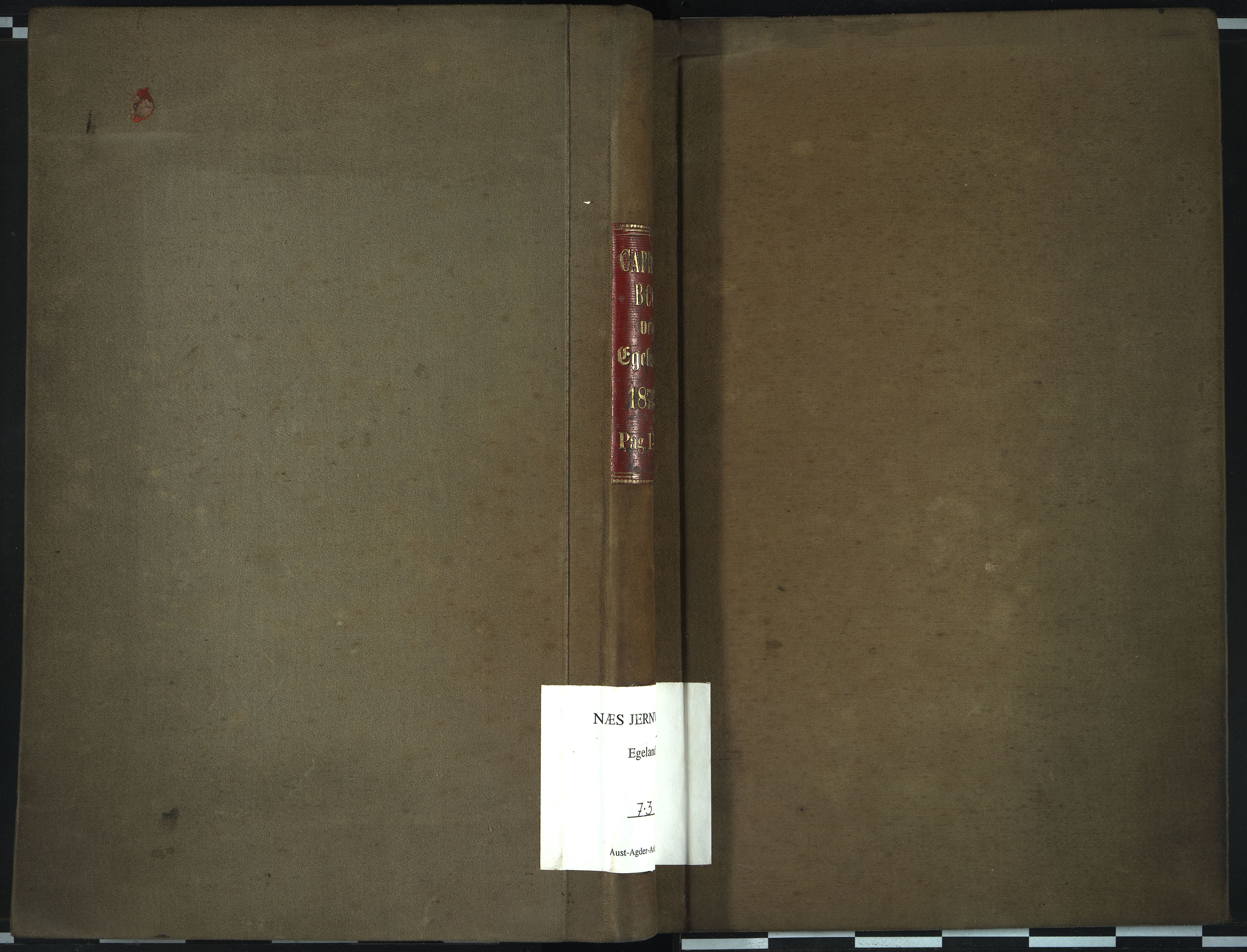Egelands Verk, NESJ/NJM-002/07/L0003: Kapital-bok, 1878