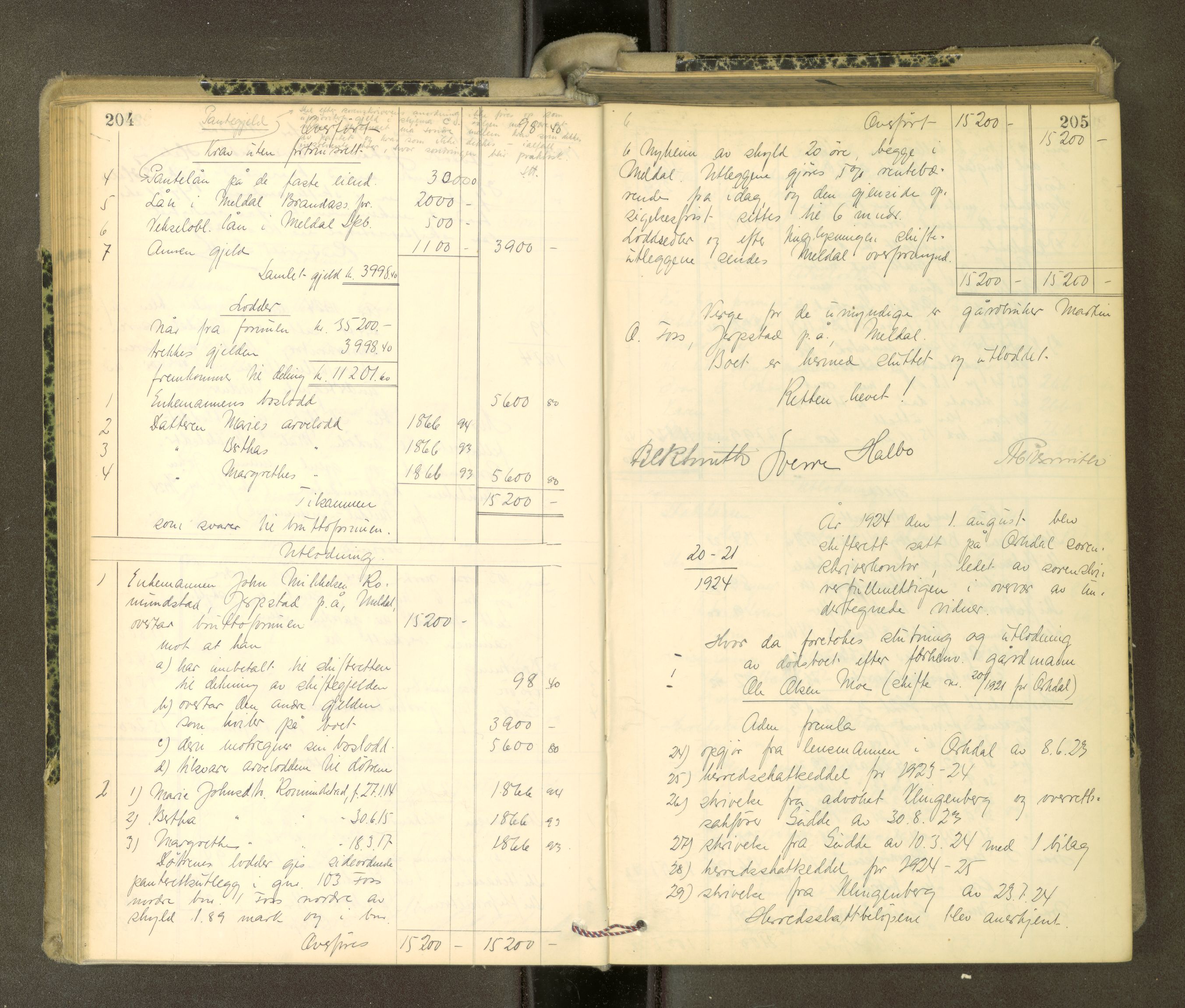 Orkdal sorenskriveri, AV/SAT-A-4169/1/3/3Aa/L0017: Skifteprotokoller, 1921-1929, s. 204-205