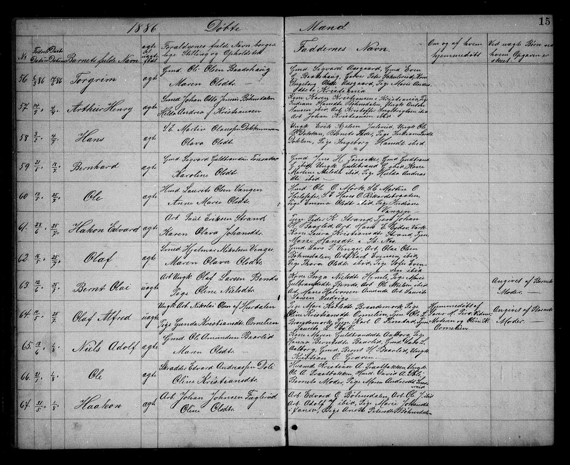 Eidsvoll prestekontor Kirkebøker, AV/SAO-A-10888/G/Ga/L0005: Klokkerbok nr. I 5, 1884-1894, s. 15