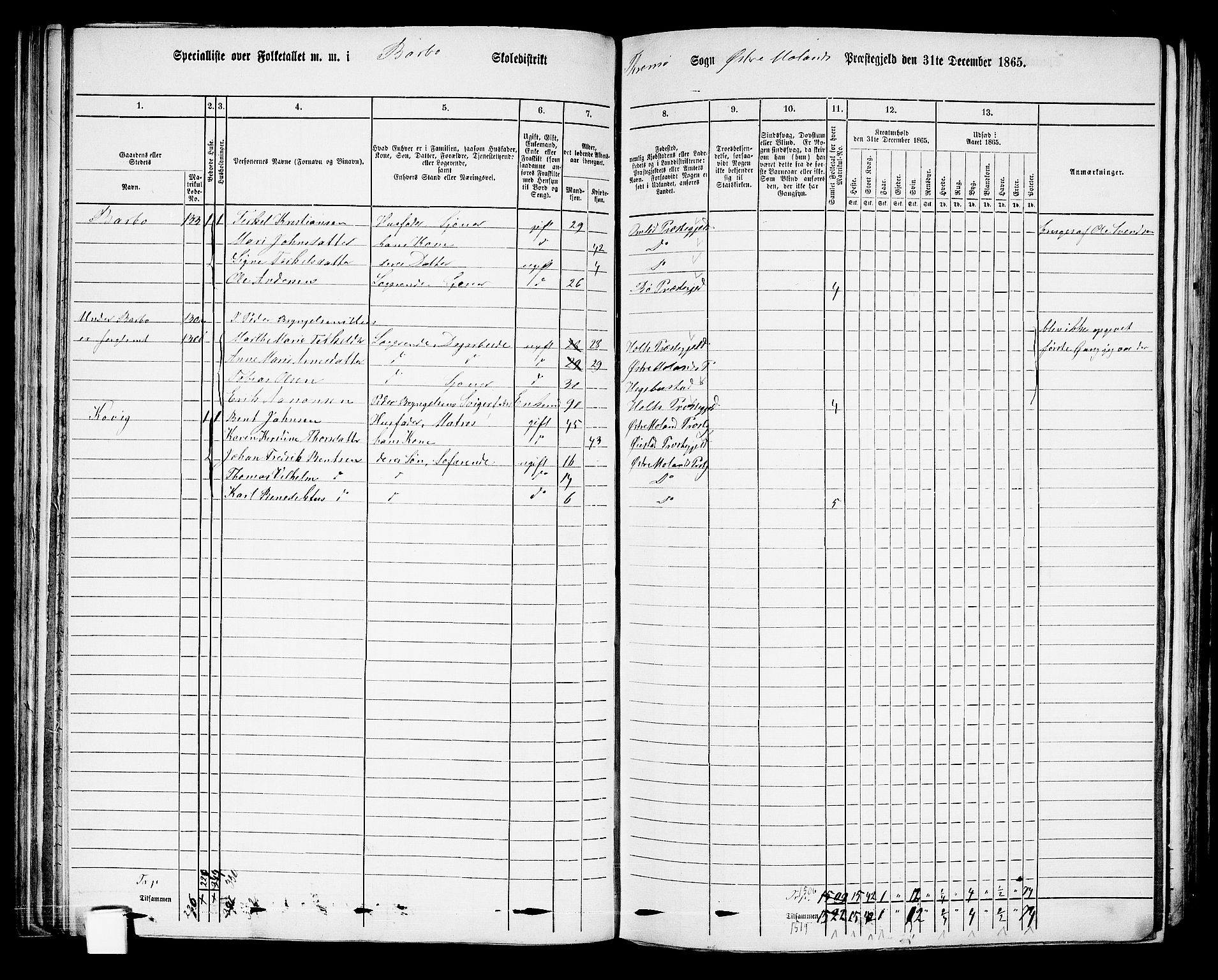 RA, Folketelling 1865 for 0918P Austre Moland prestegjeld, 1865, s. 114