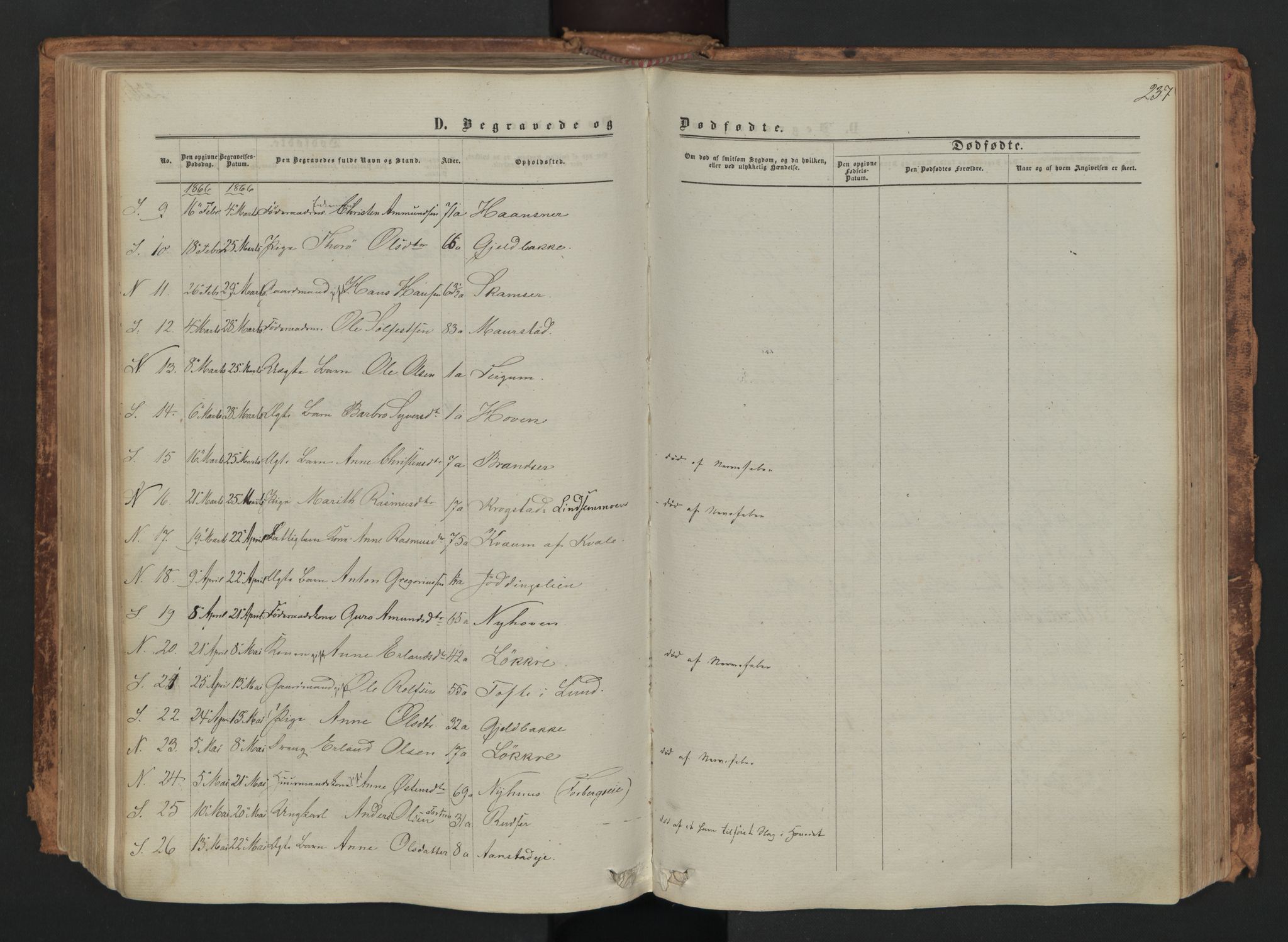 Skjåk prestekontor, AV/SAH-PREST-072/H/Ha/Haa/L0001: Ministerialbok nr. 1, 1863-1879, s. 237