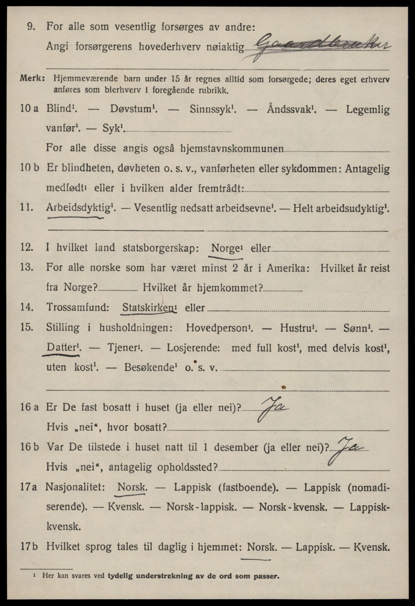 SAT, Folketelling 1920 for 1649 Soknedal herred, 1920, s. 3739