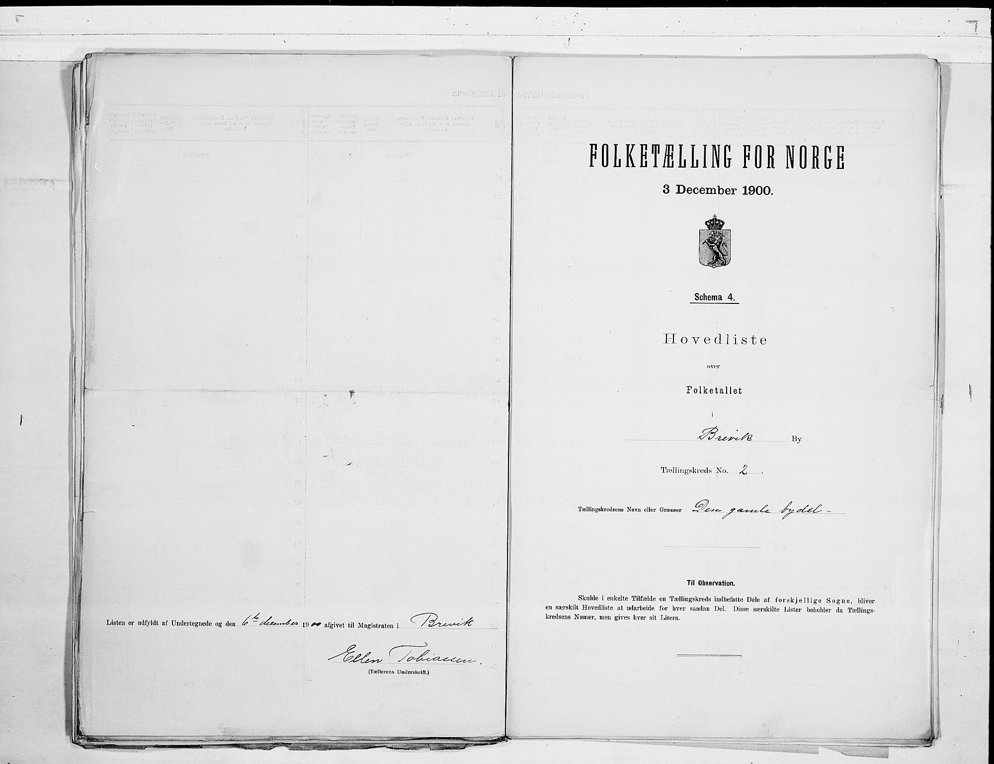 SAKO, Folketelling 1900 for 0804 Brevik kjøpstad, 1900, s. 6